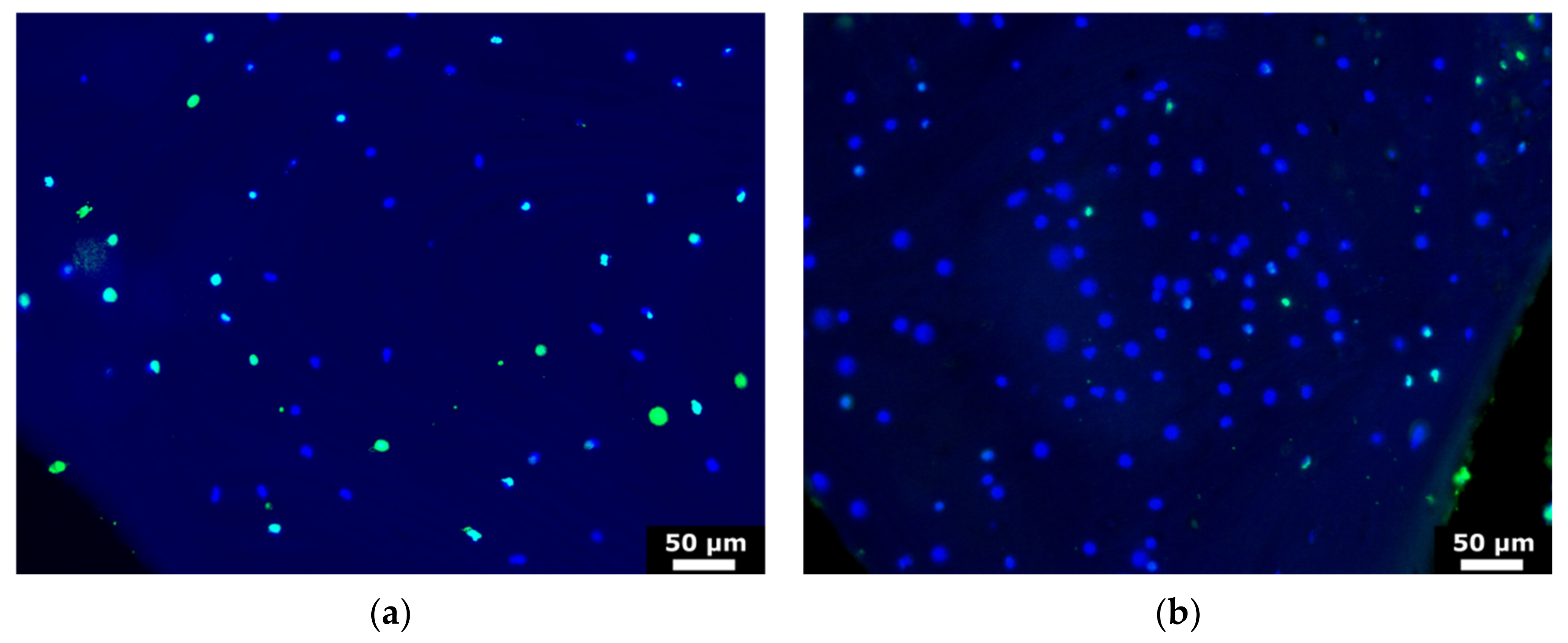 Materials 14 03001 g007