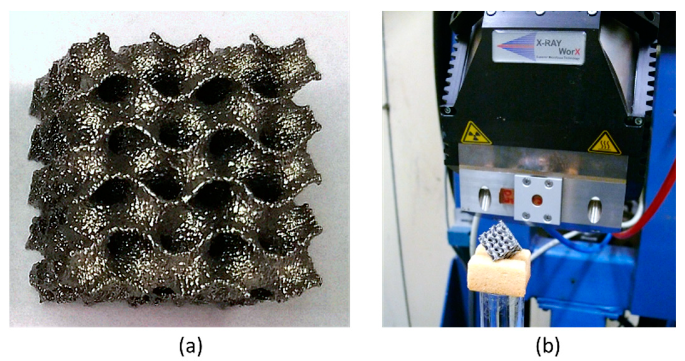 Materials 14 03002 g002 Materials 14 03002 g002