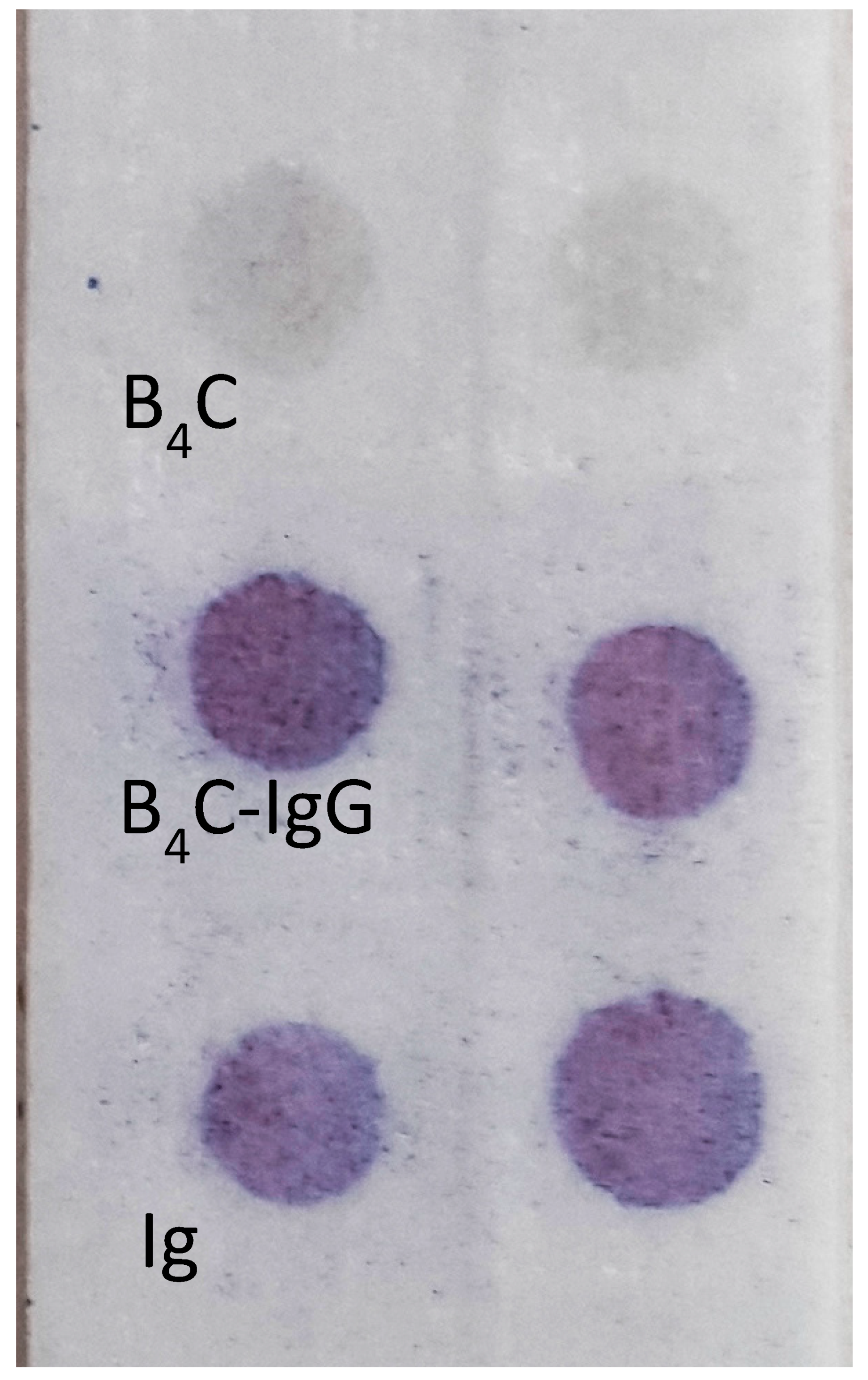 Materials 14 03010 g004