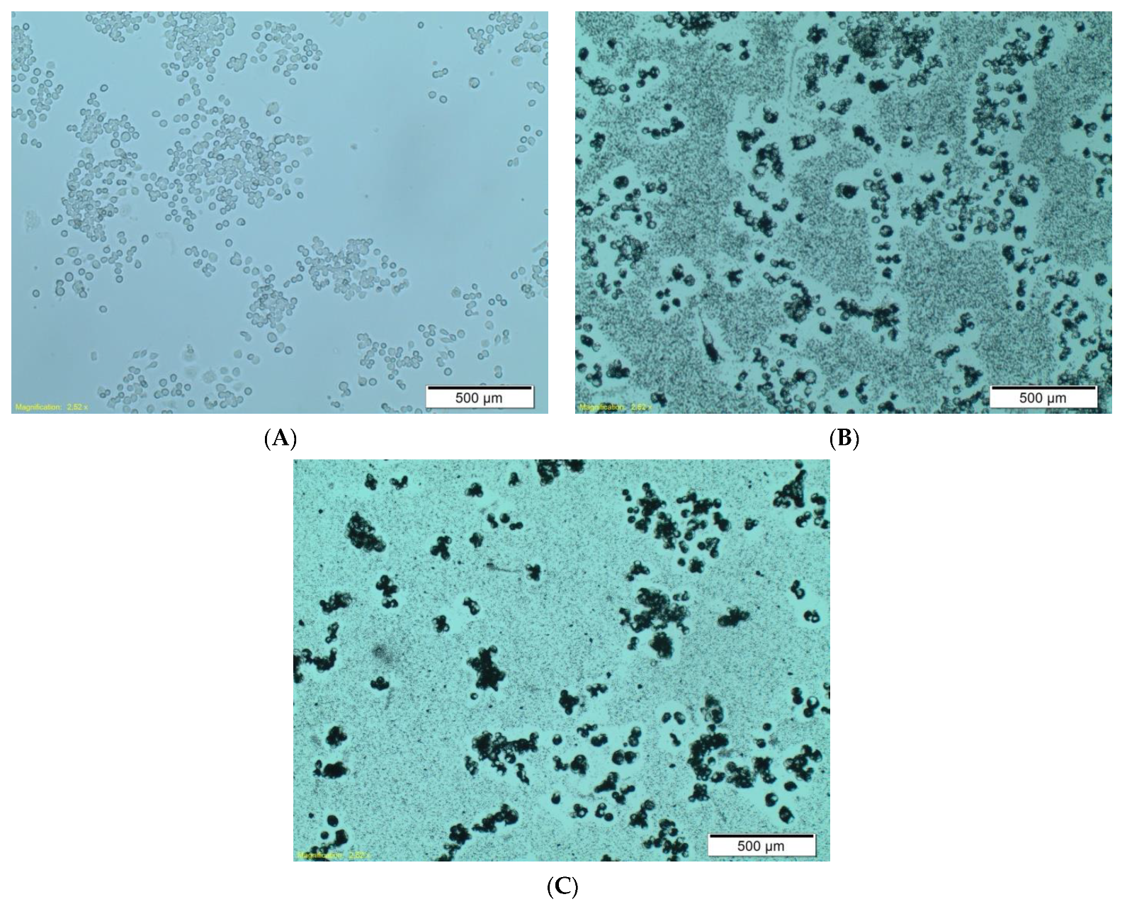 Materials 14 03010 g005