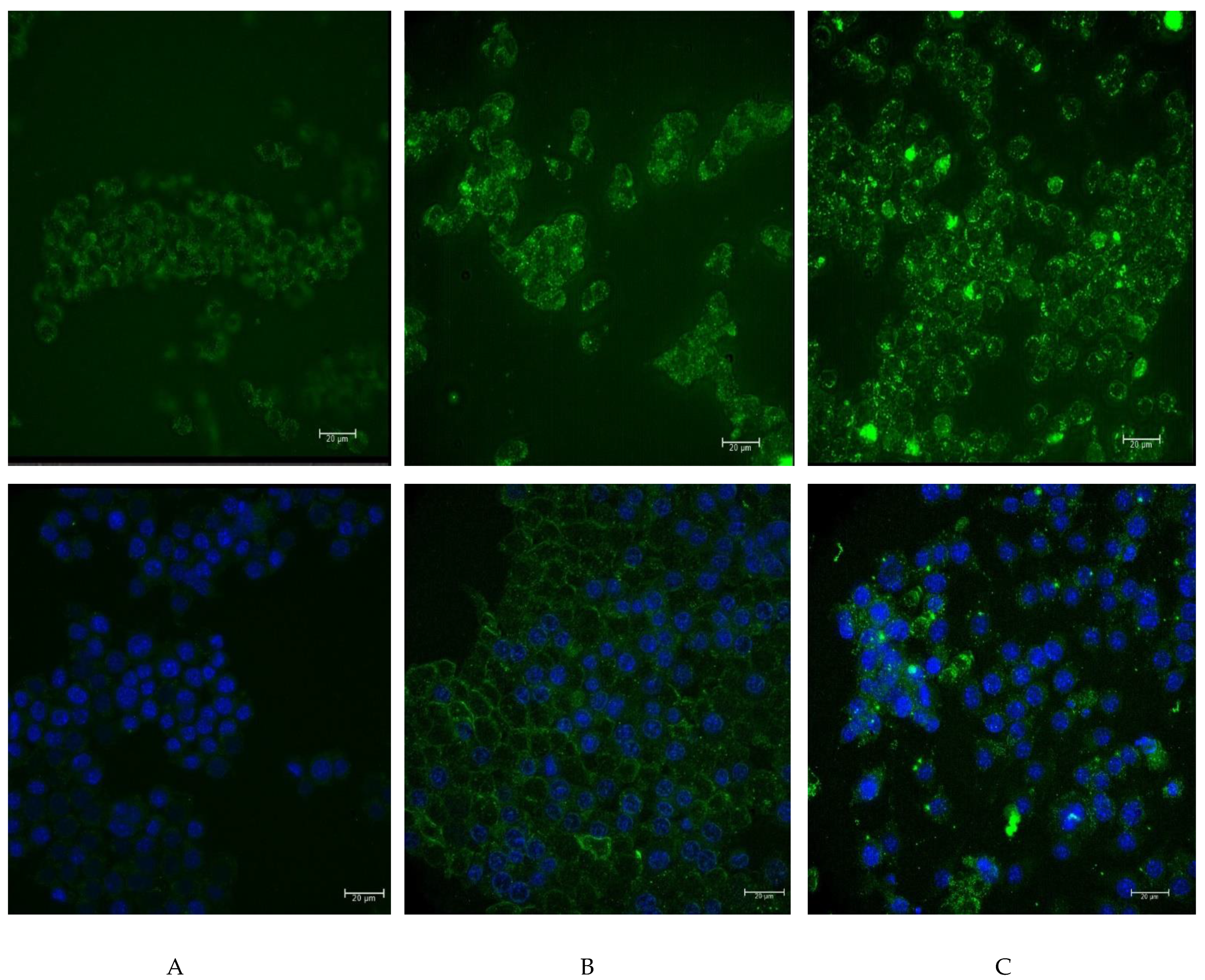 Materials 14 03010 g006