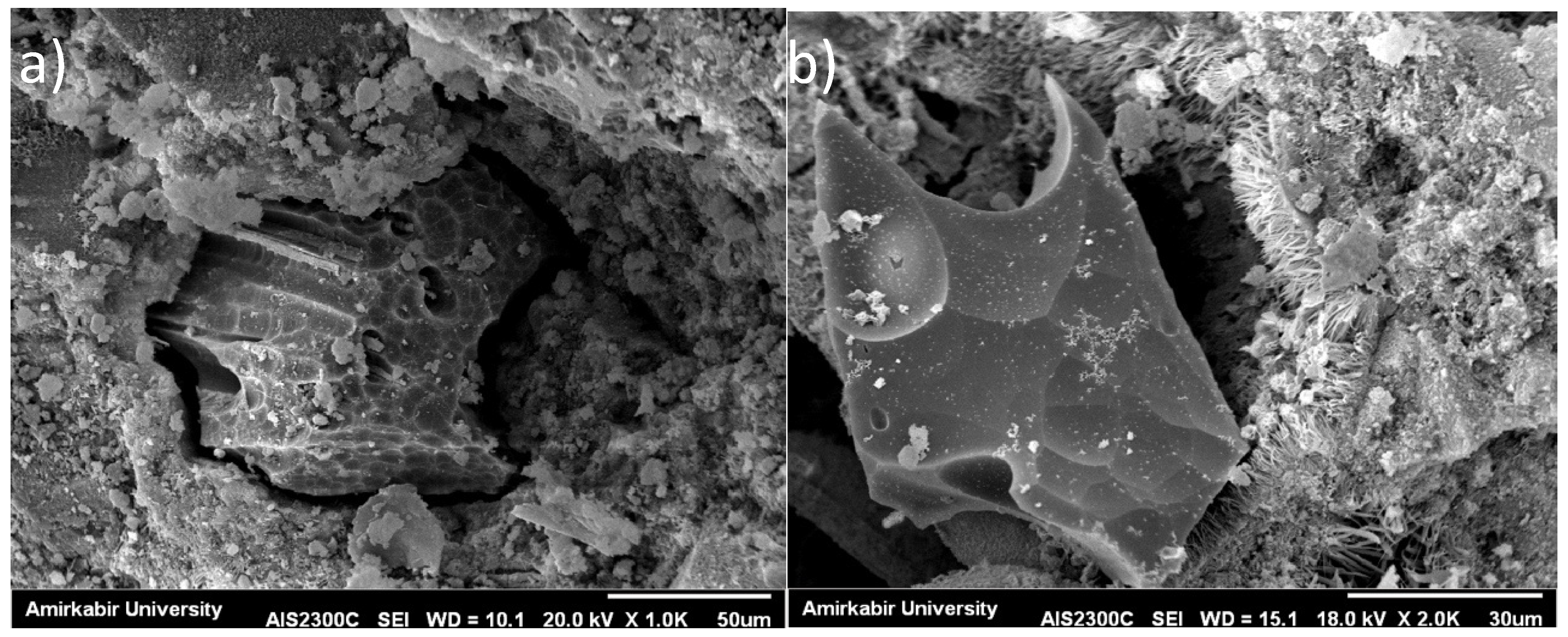 Materials 14 03012 g001