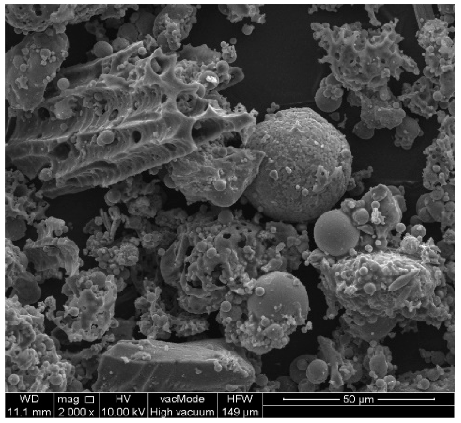 Materials 14 03018 g002