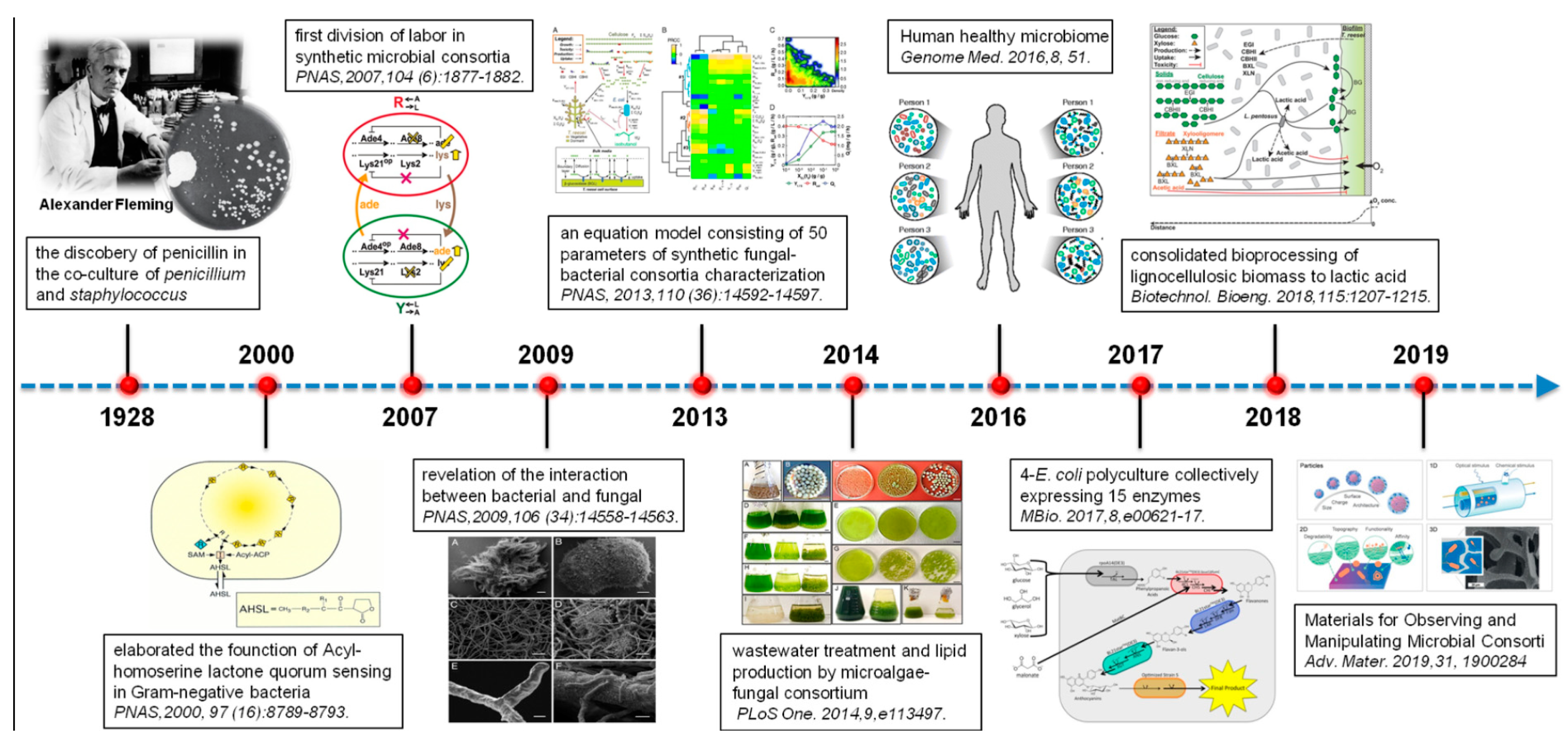 Materials 14 03027 g001