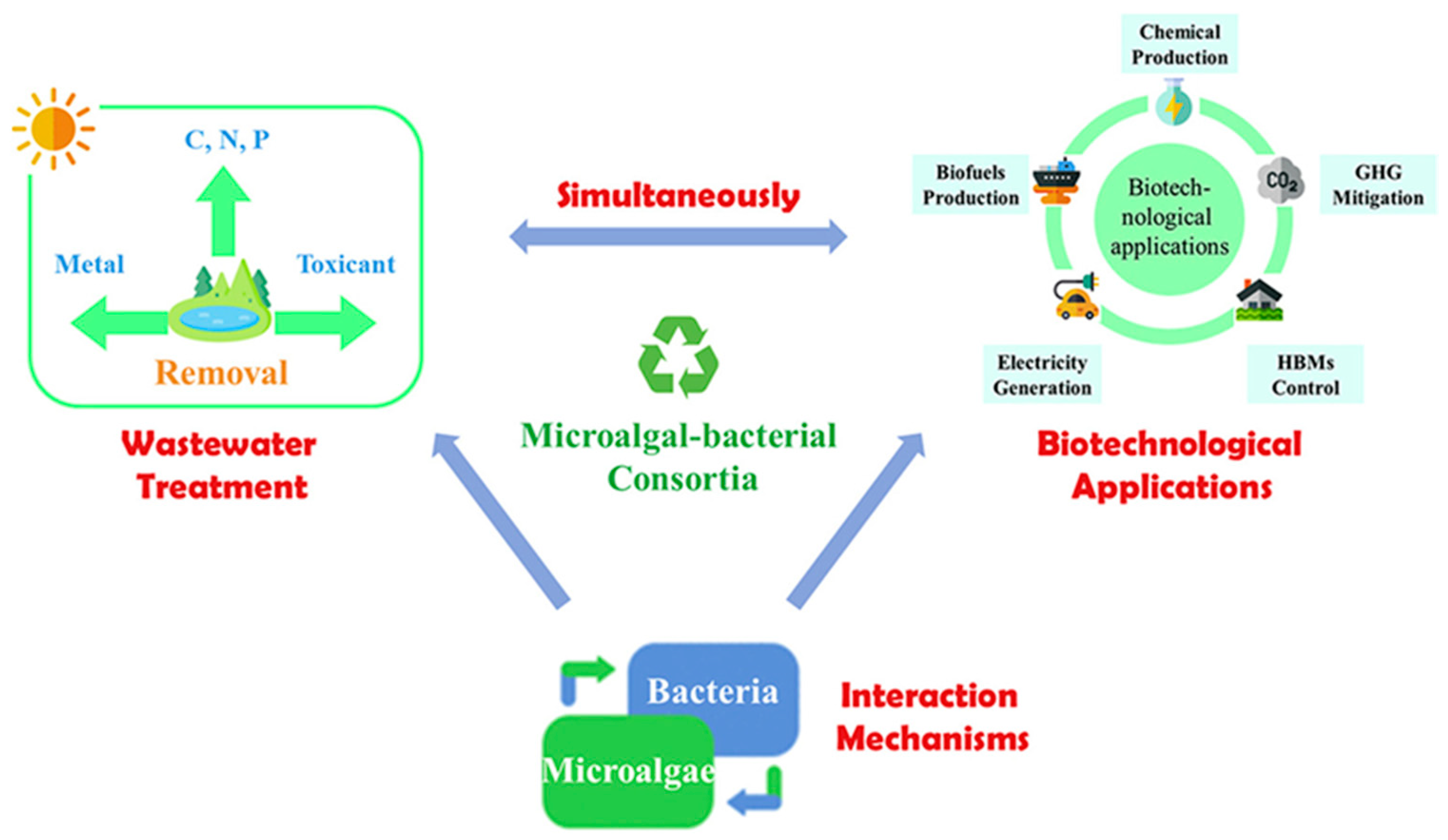 Materials 14 03027 g002