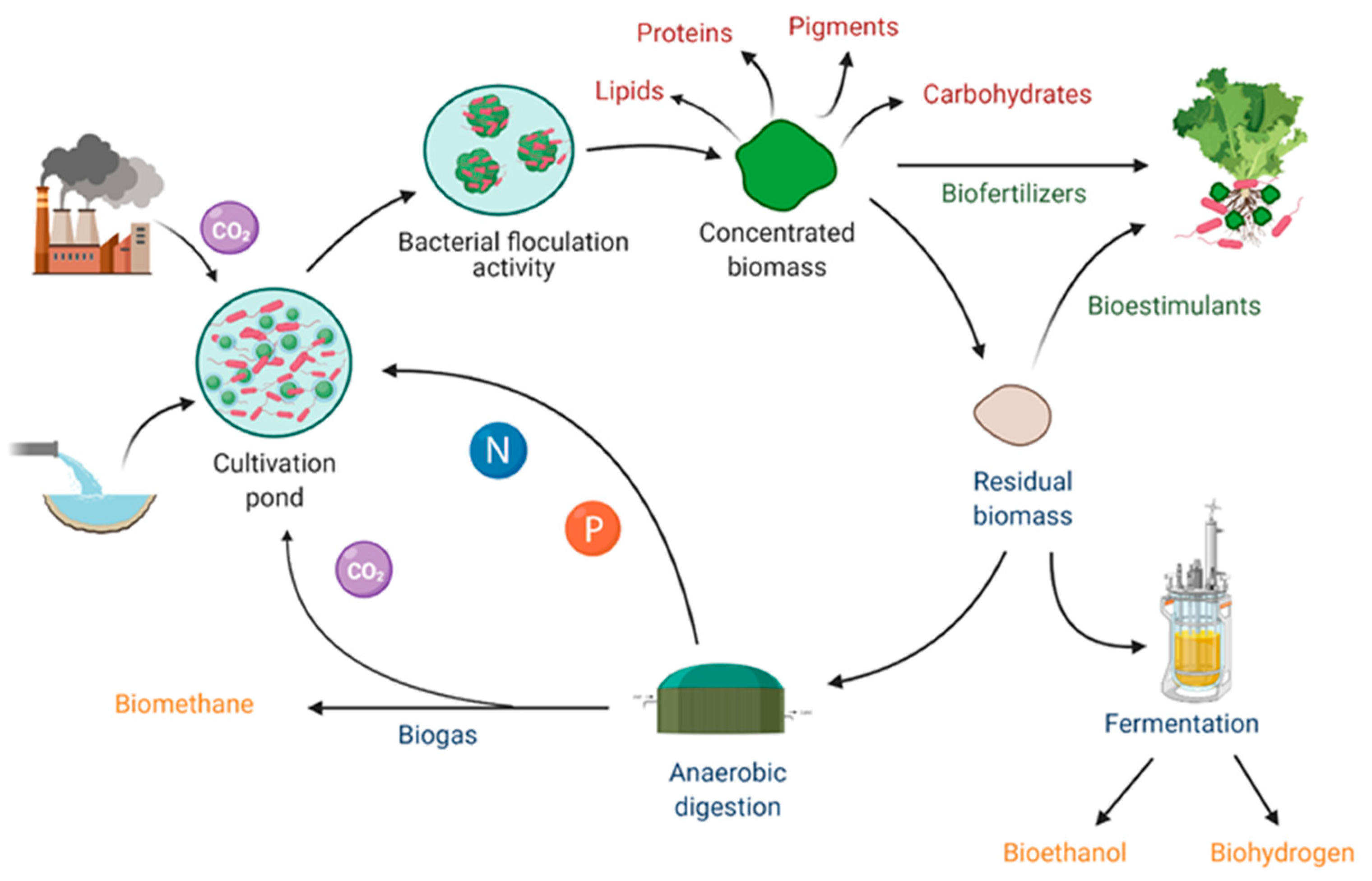 Materials 14 03027 g003