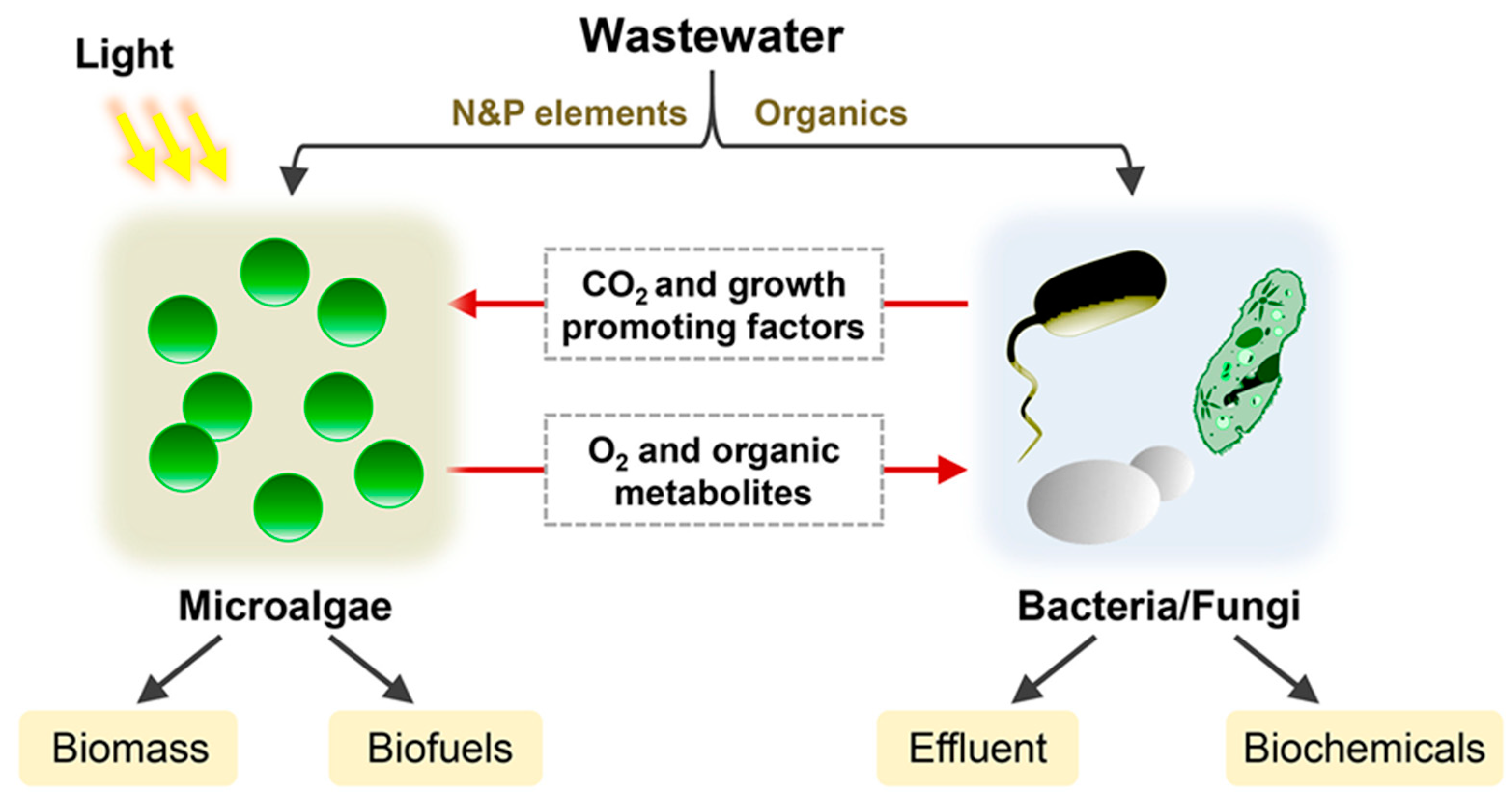 Materials 14 03027 g004