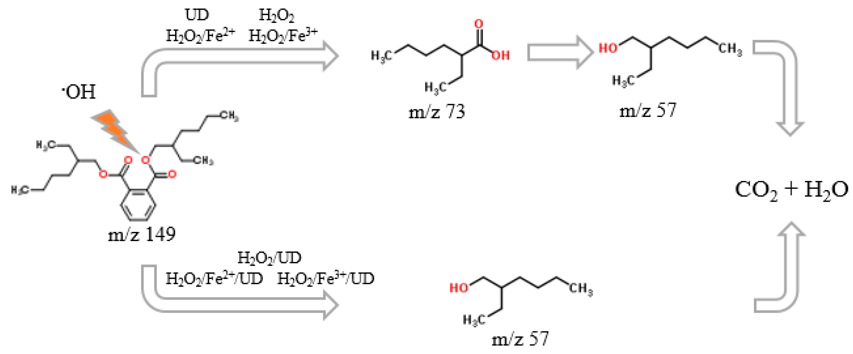 Materials 14 03029 g013