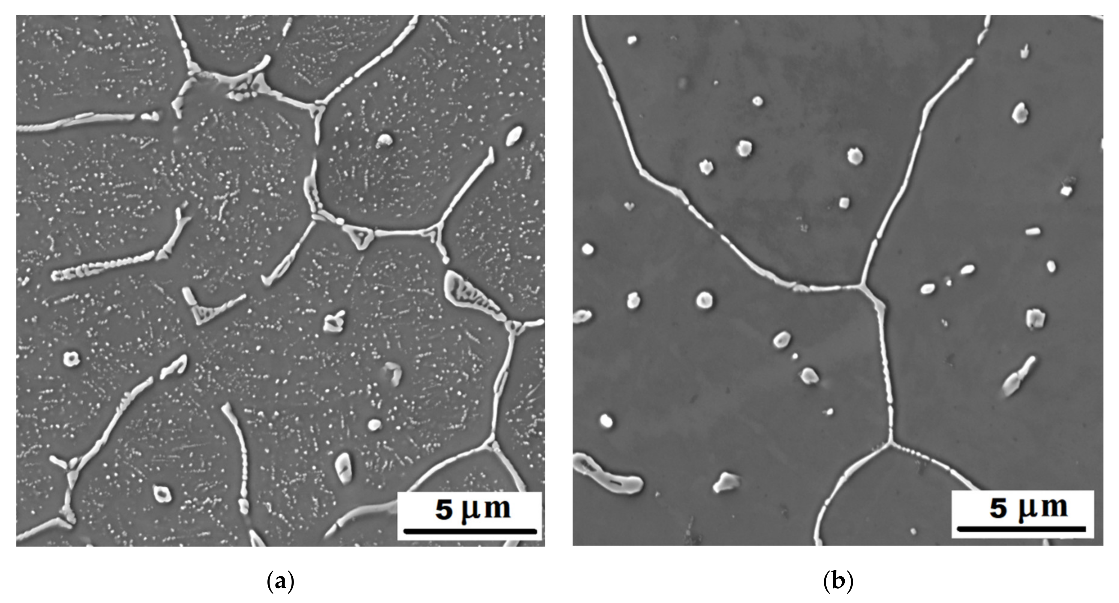 Materials 14 03031 g002 Materials 14 03031 g002