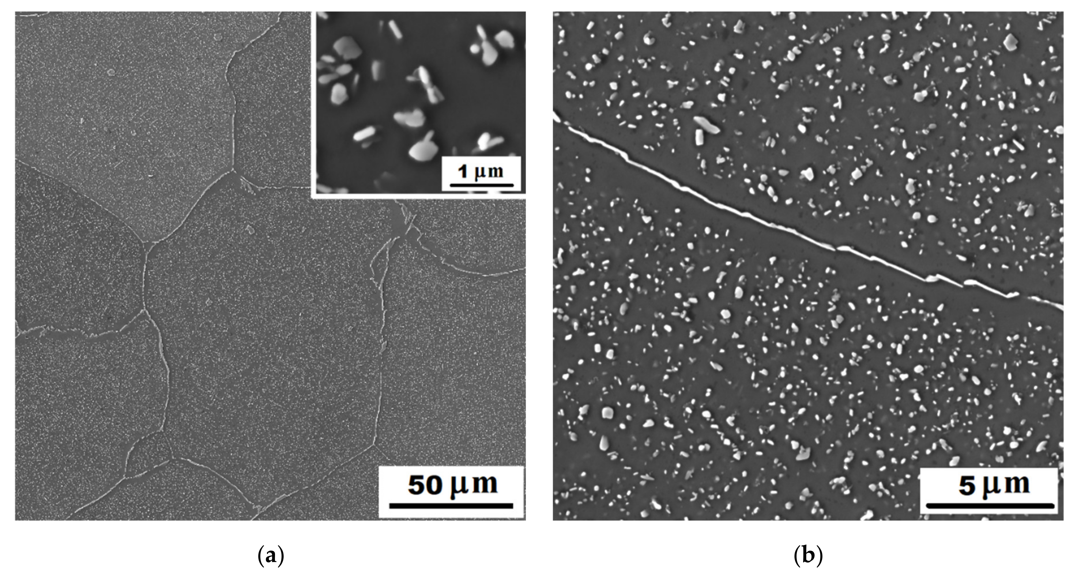 Materials 14 03031 g006 Materials 14 03031 g006