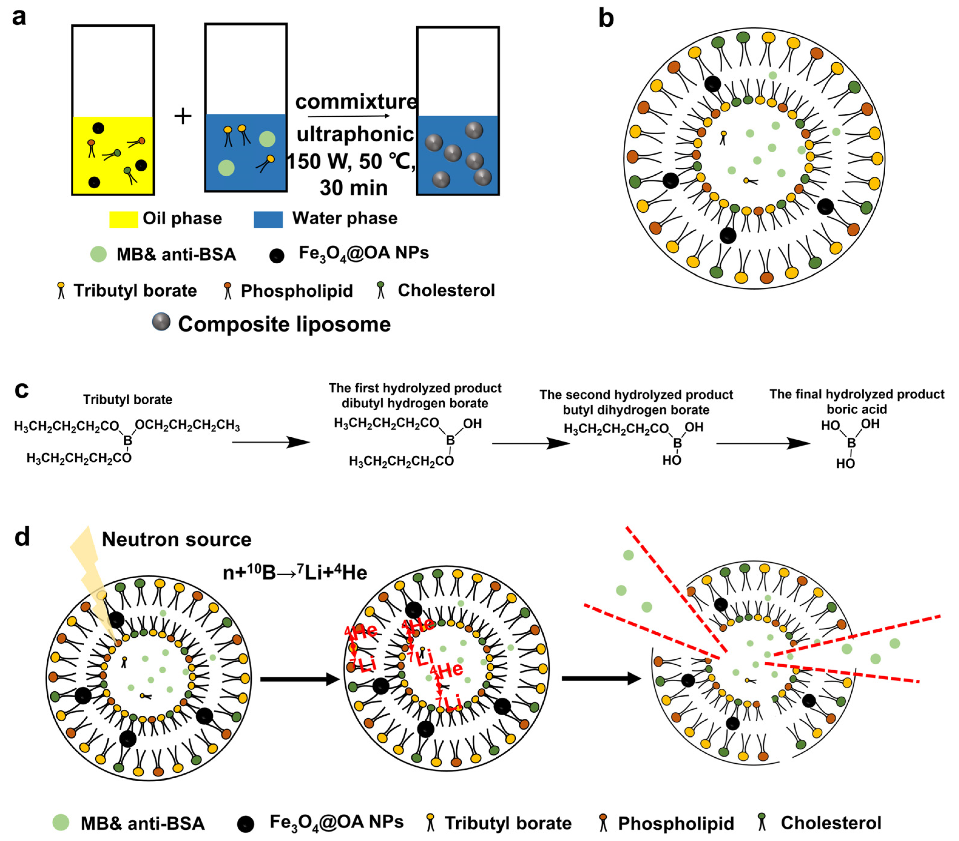Materials 14 03040 g003 Materials 14 03040 g003