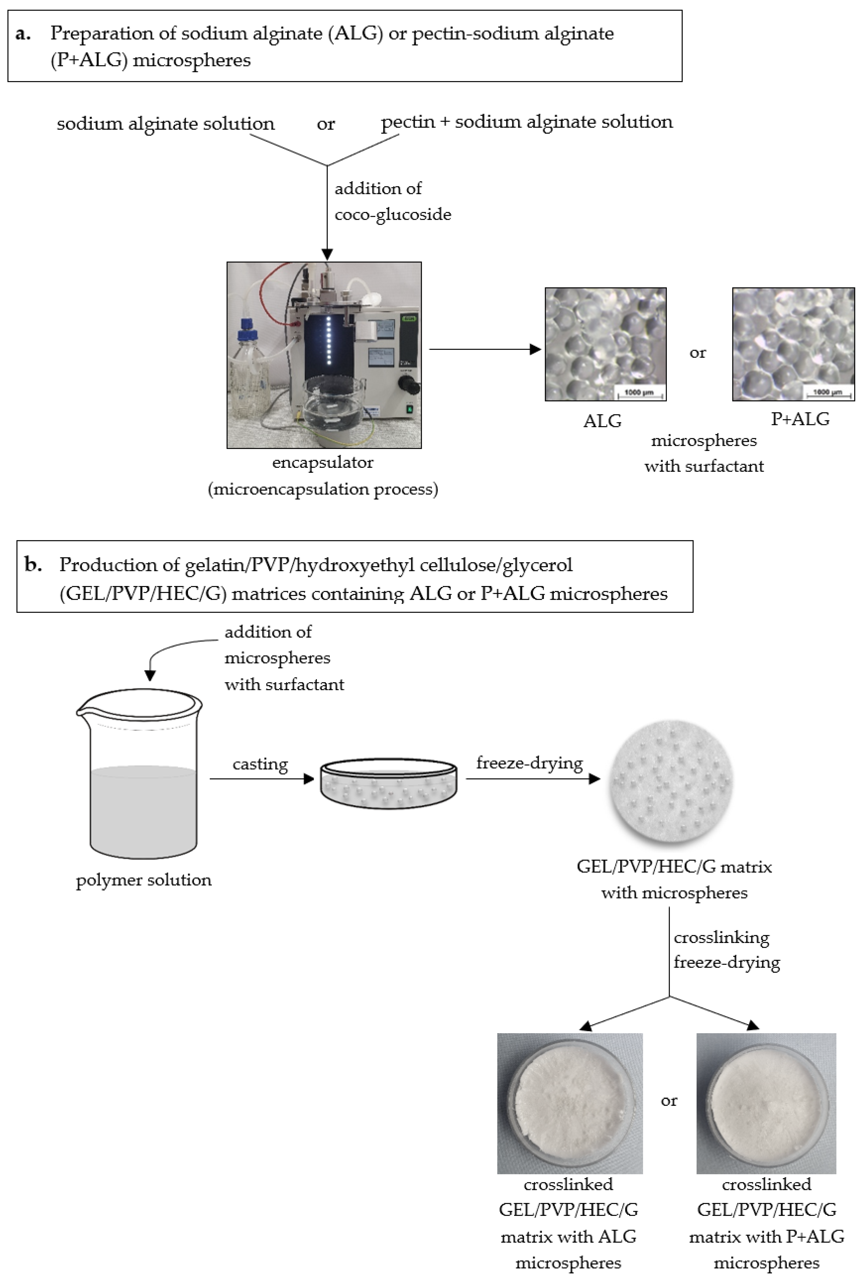 Materials 14 03044 g001