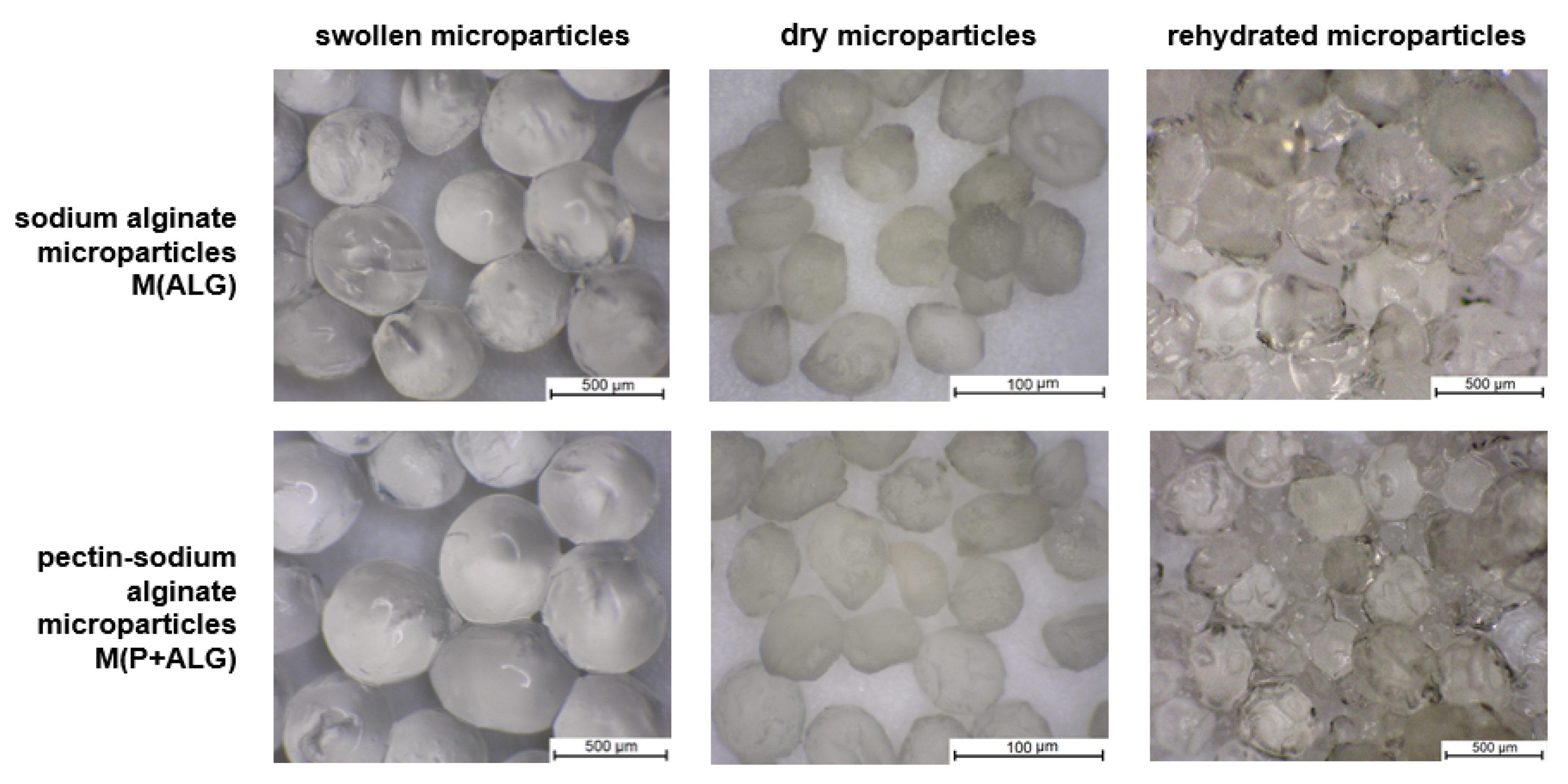 Materials 14 03044 g002