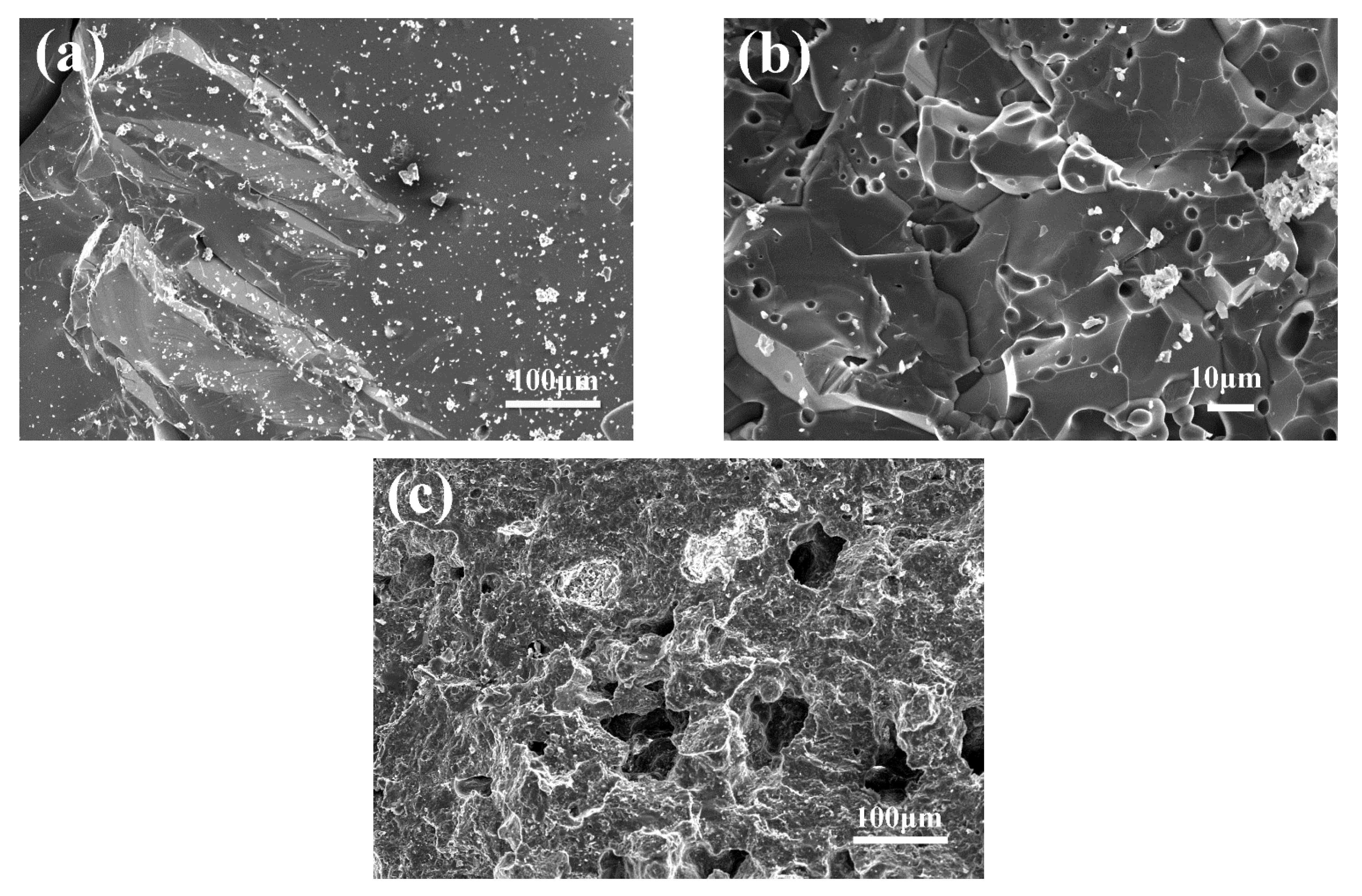 Materials 14 03050 g001 Materials 14 03050 g001