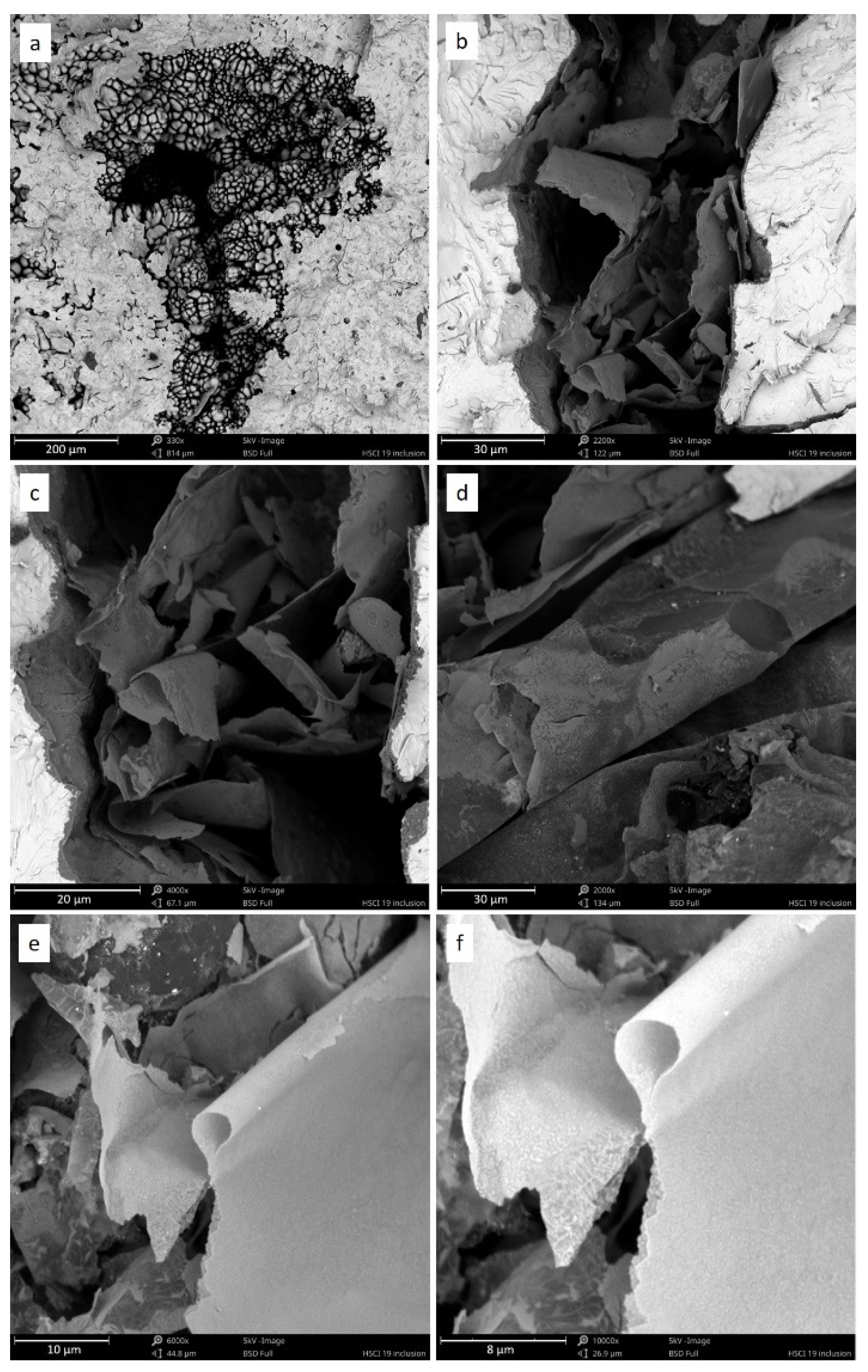 Materials 14 03067 g002