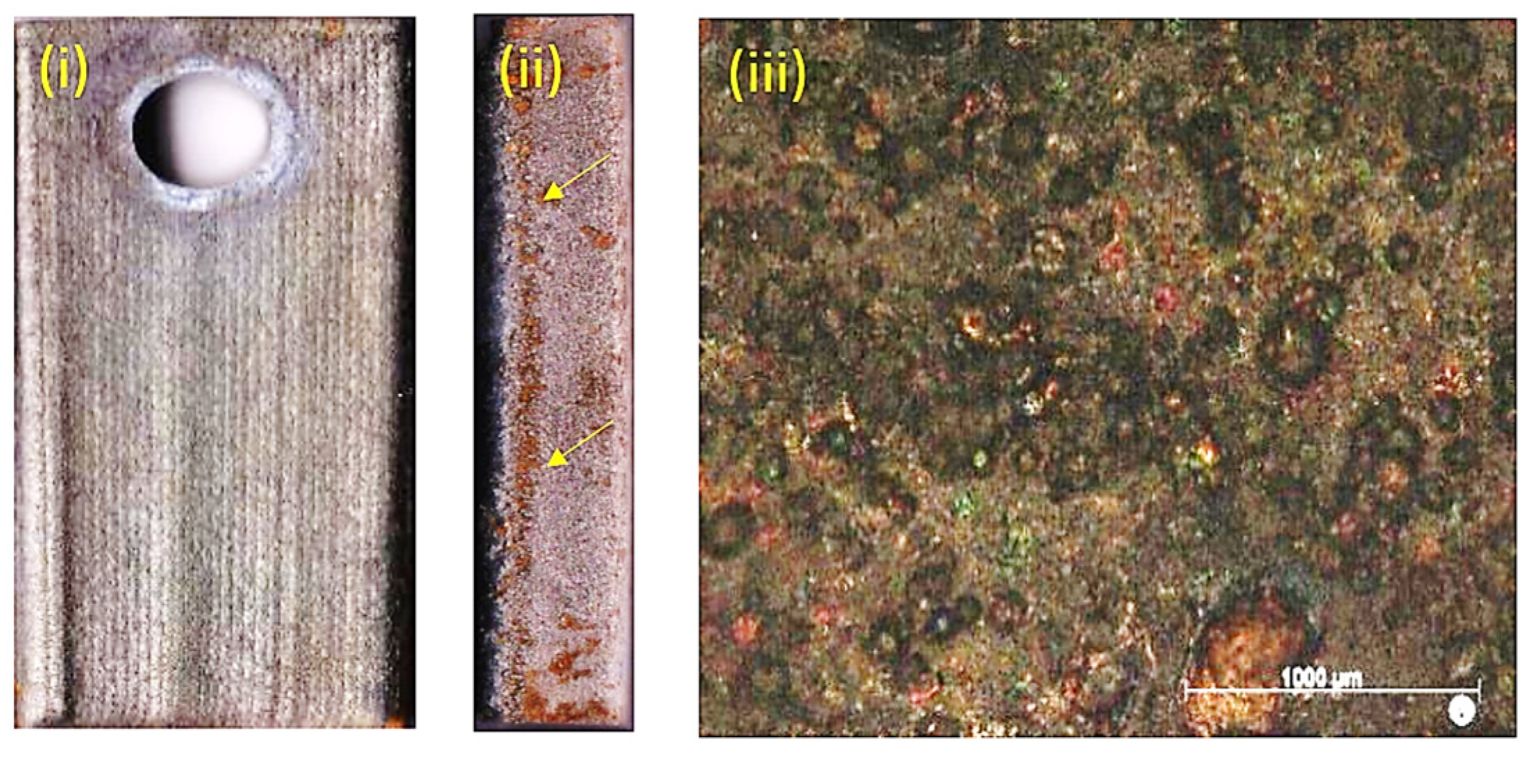 Materials 14 03071 g004