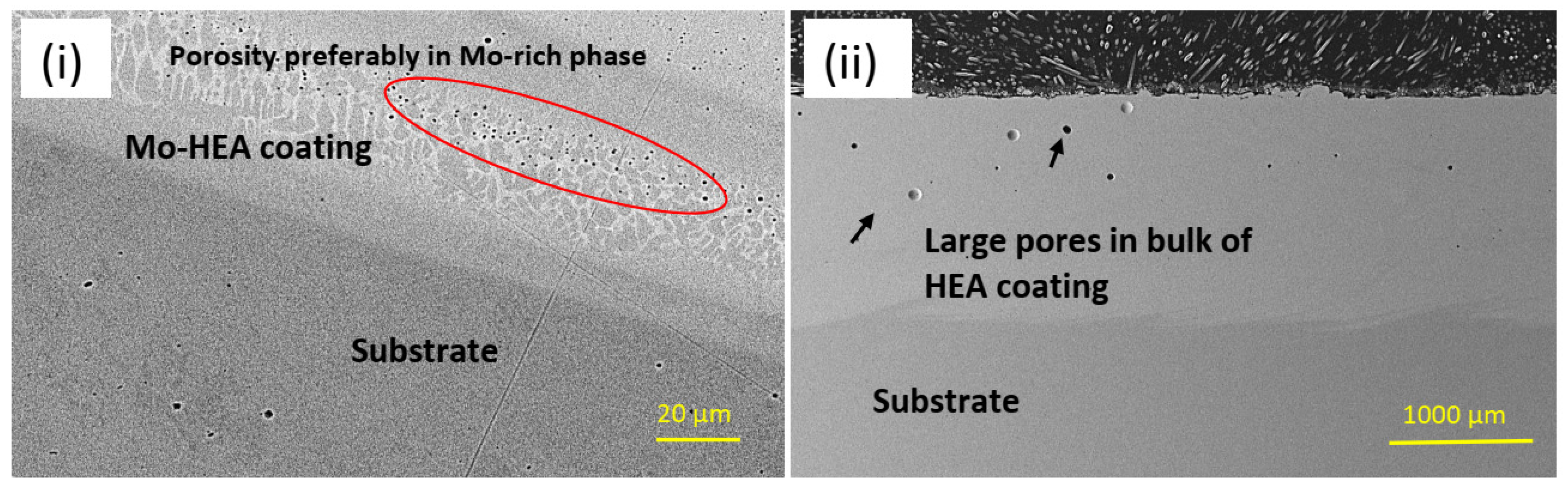 Materials 14 03071 g006
