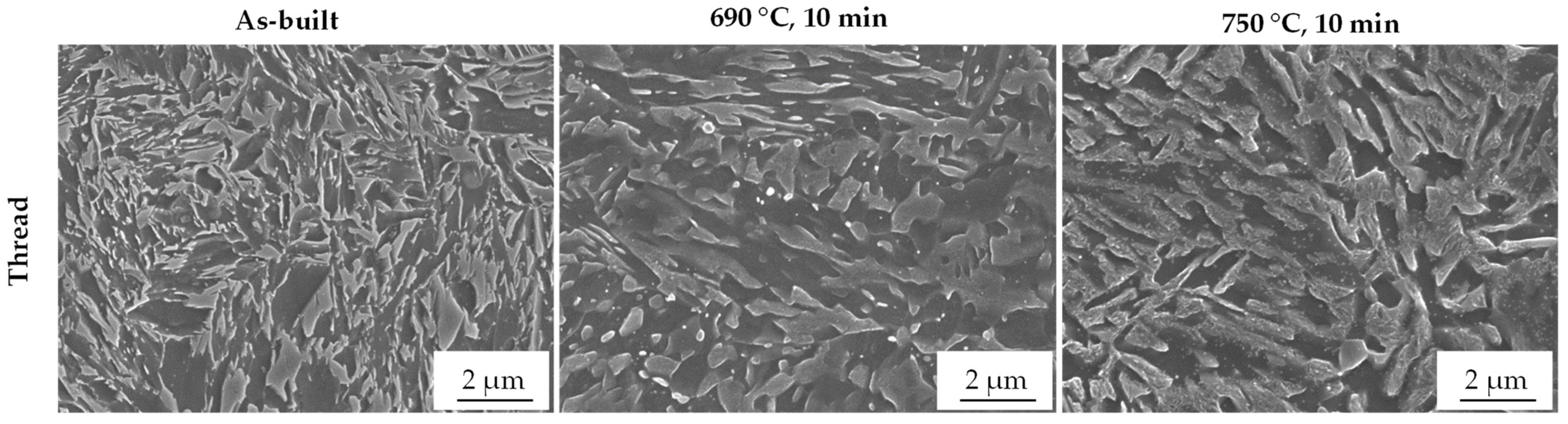 Materials 14 03081 g006