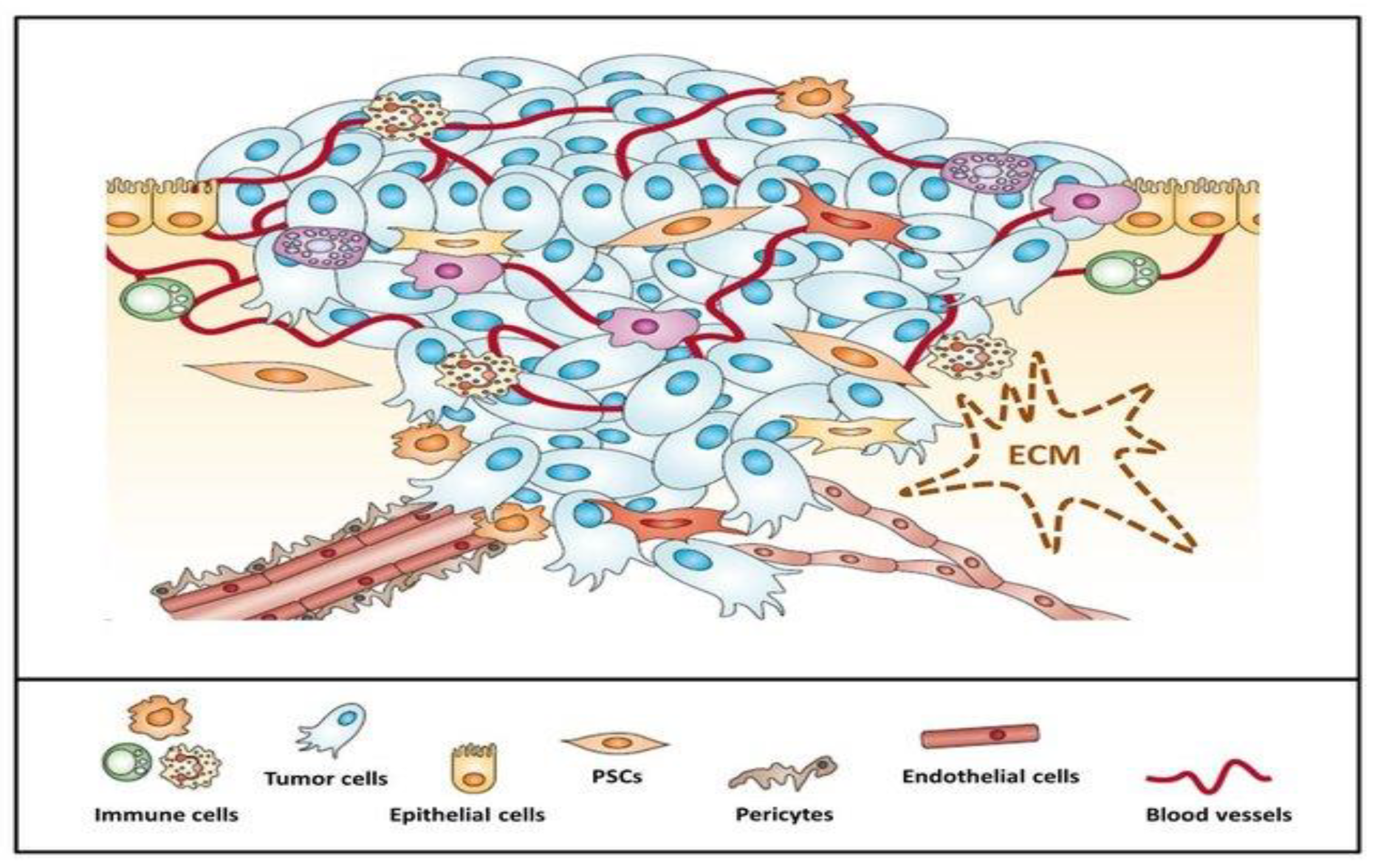 Materials 14 03083 g001 Materials 14 03083 g001