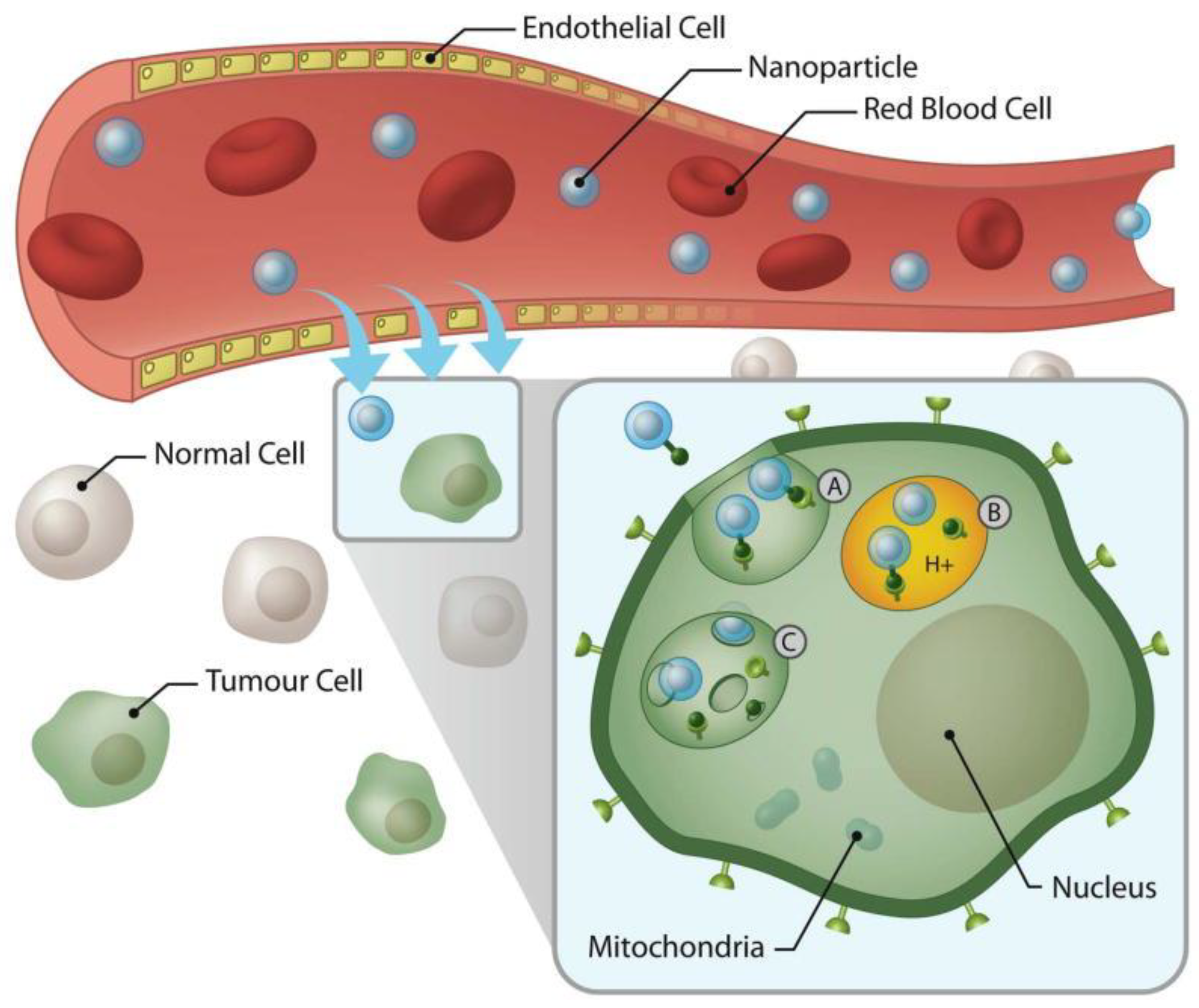 Materials 14 03083 g003 Materials 14 03083 g003