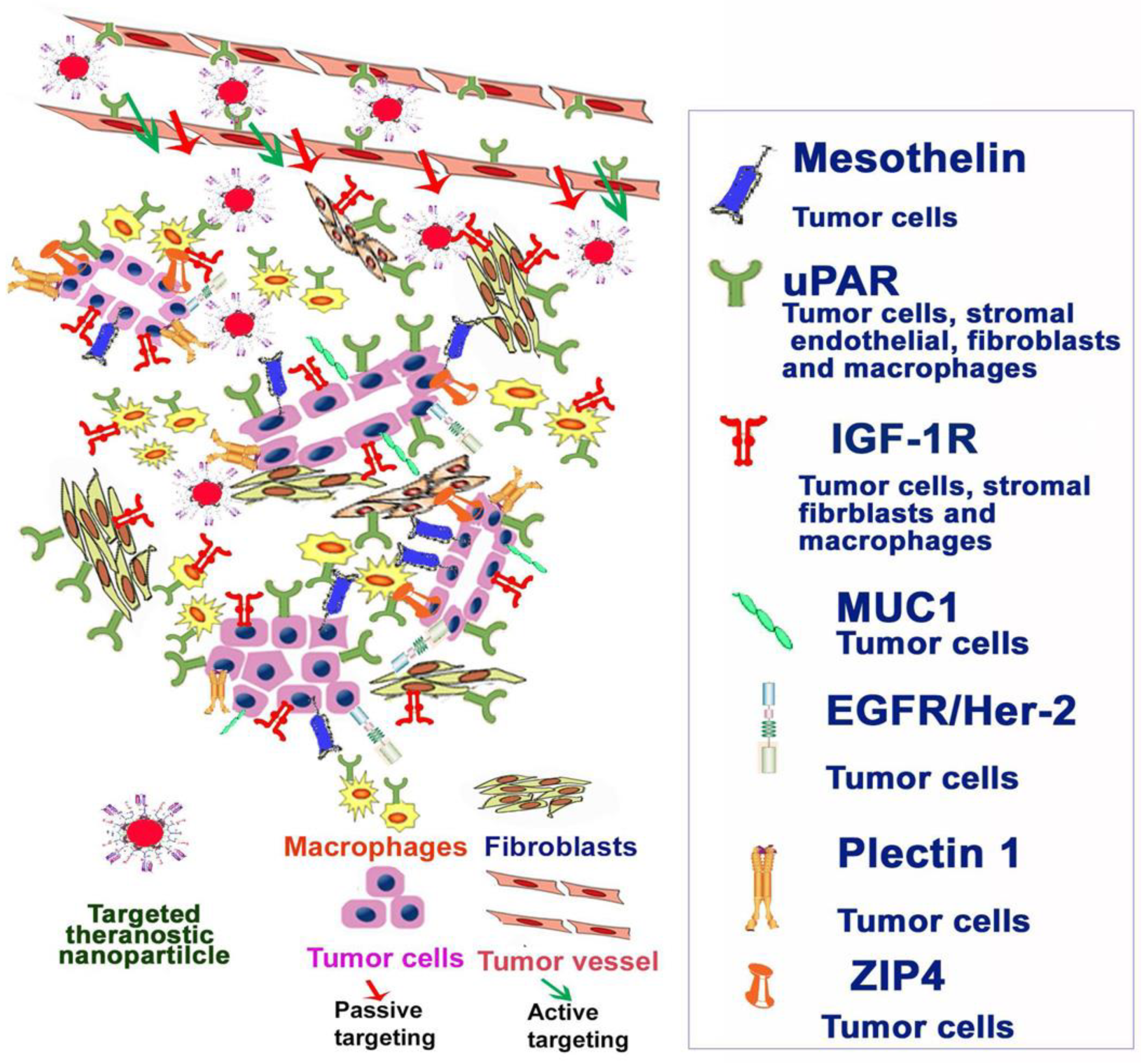 Materials 14 03083 g004 Materials 14 03083 g004