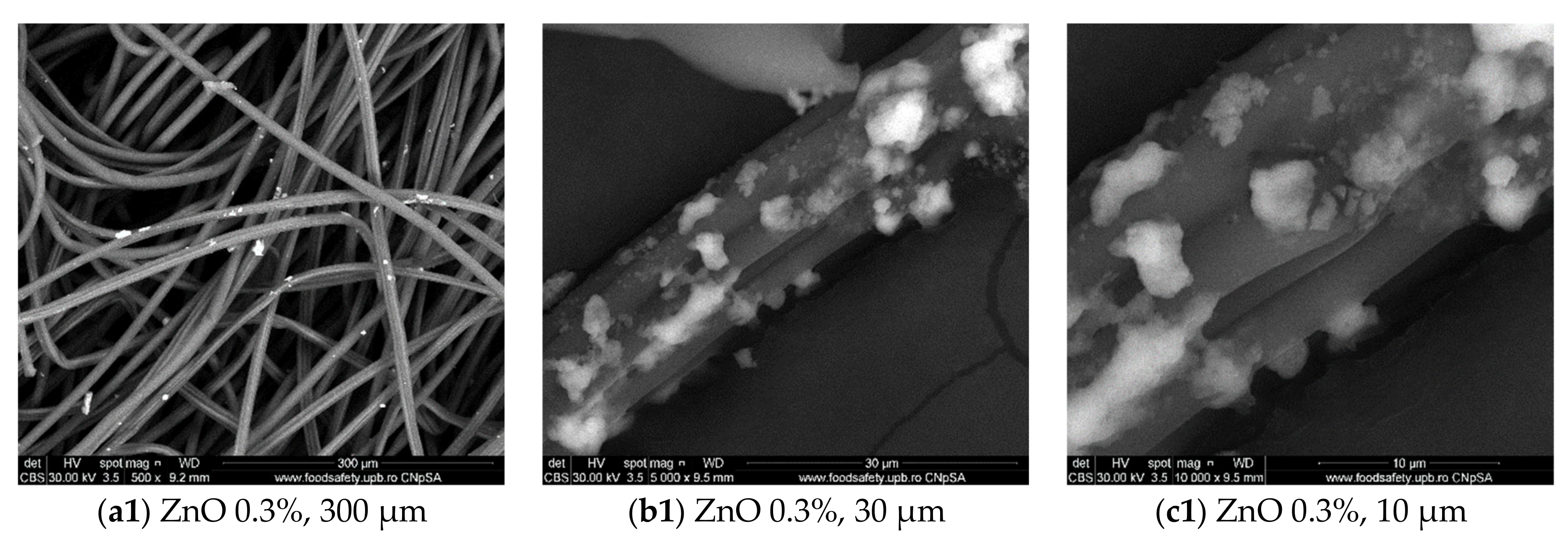 Materials 14 03084 g001a Materials 14 03084 g001a