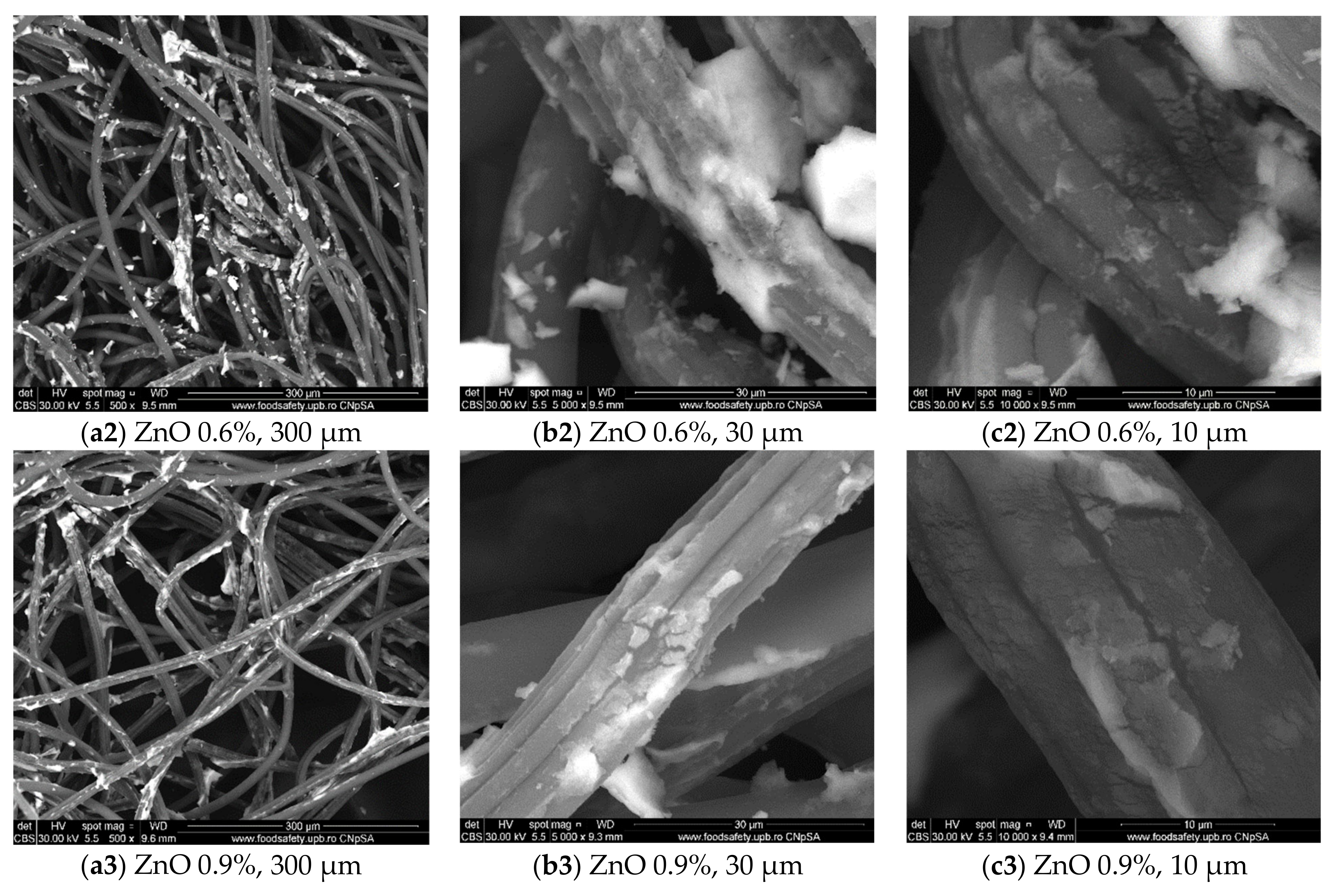 Materials 14 03084 g001b Materials 14 03084 g001b