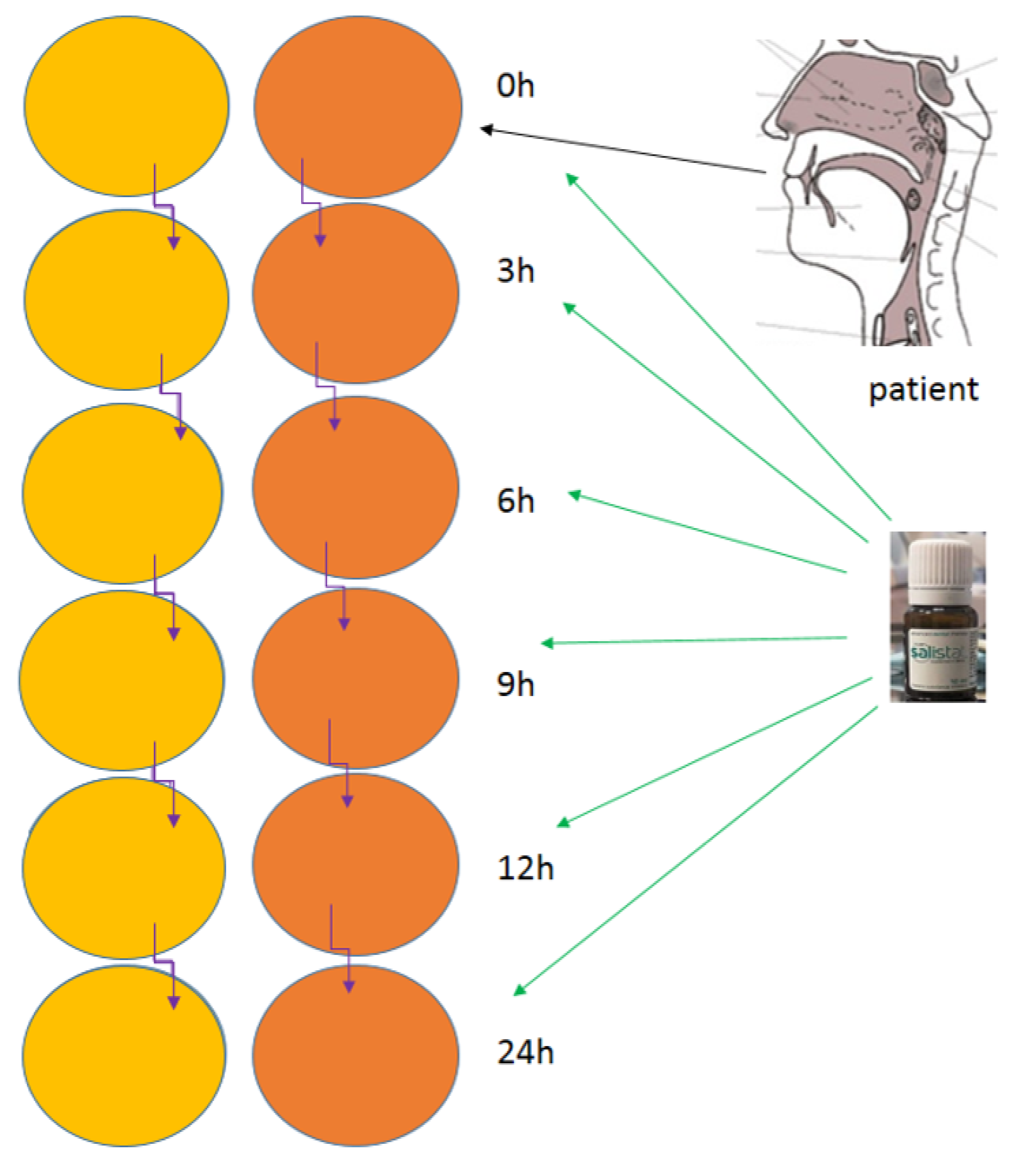 Materials 14 03086 g002 Materials 14 03086 g002