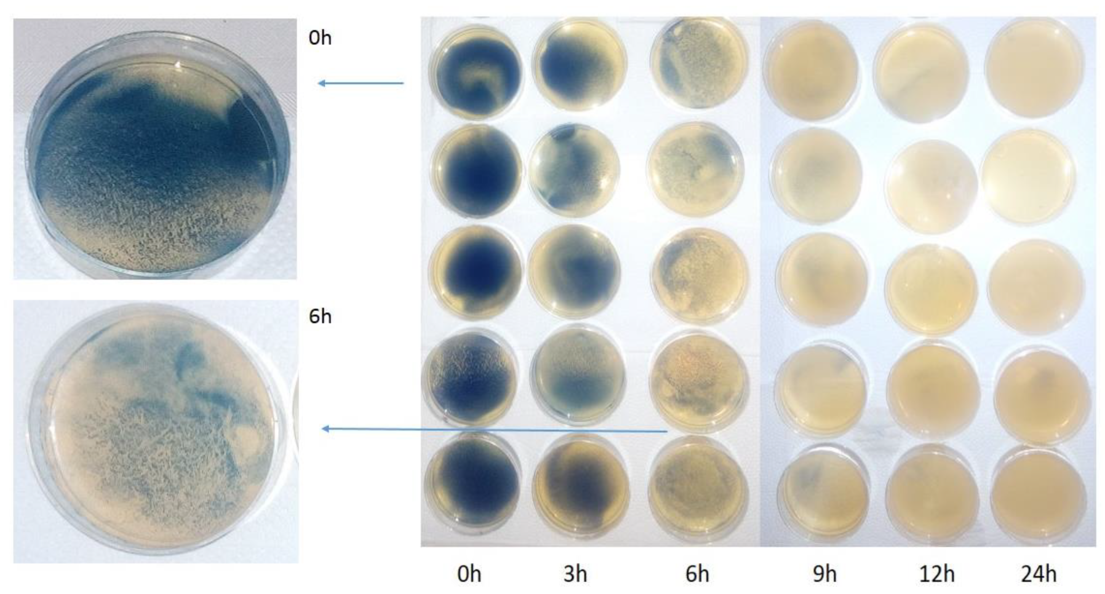 Materials 14 03086 g004 Materials 14 03086 g004