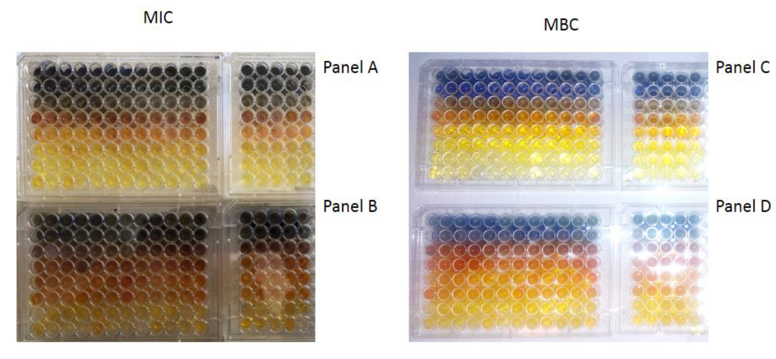 Materials 14 03086 g008 Materials 14 03086 g008