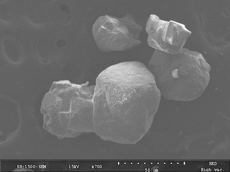 Materials 14 03089 g001 Materials 14 03089 g001