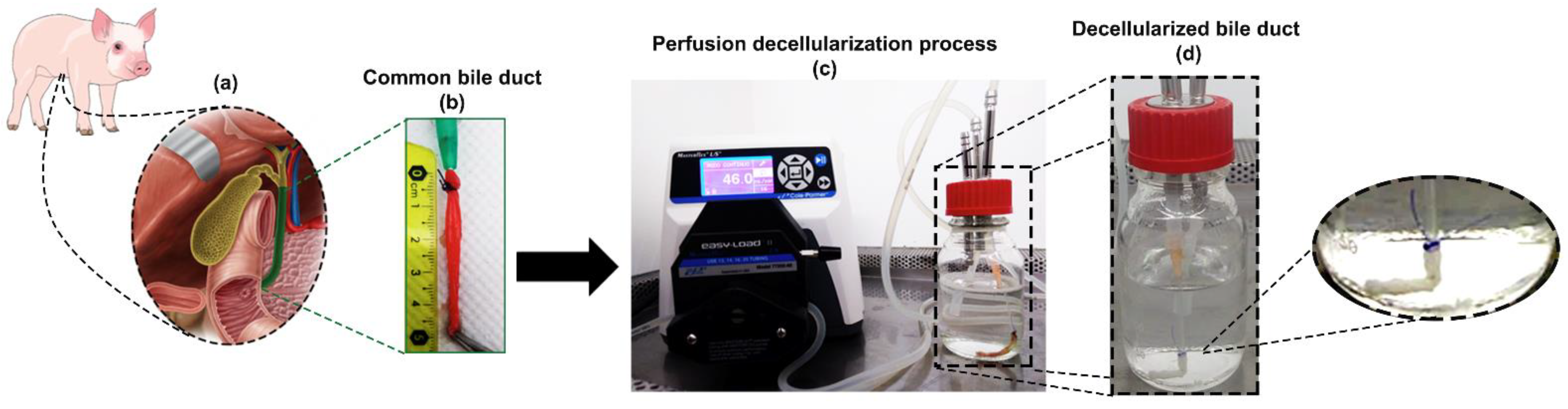 Materials 14 03099 g001