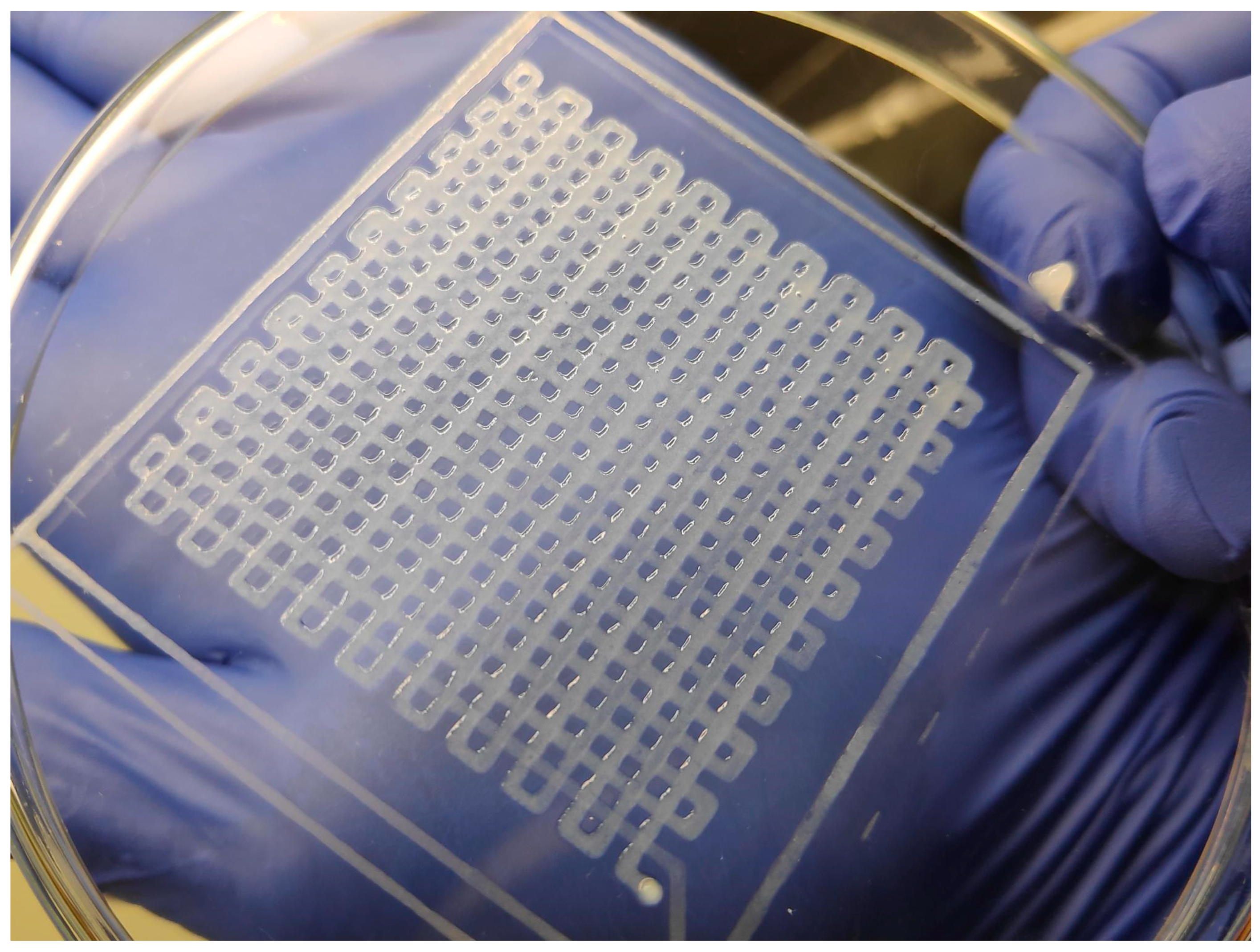 Materials 14 03100 g005