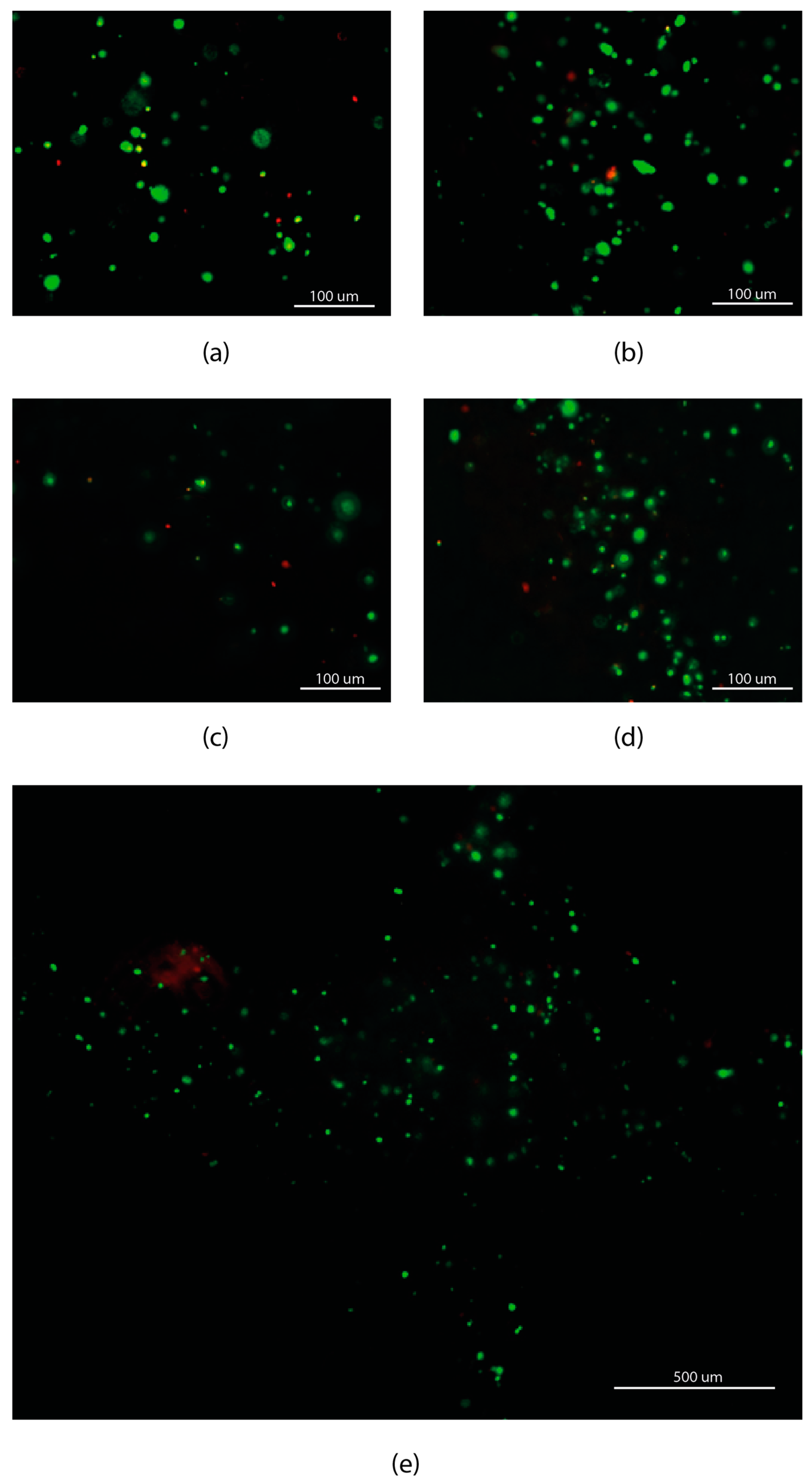 Materials 14 03100 g007
