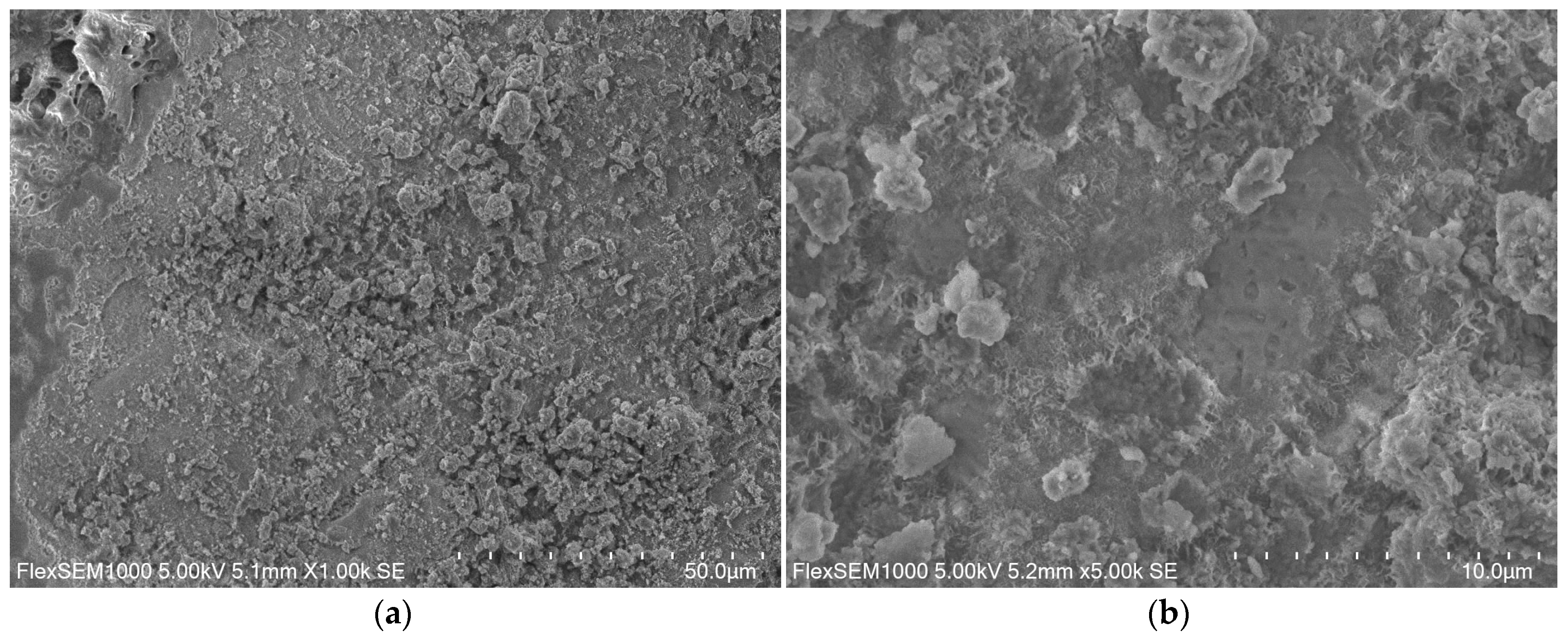 Materials 14 03101 g010