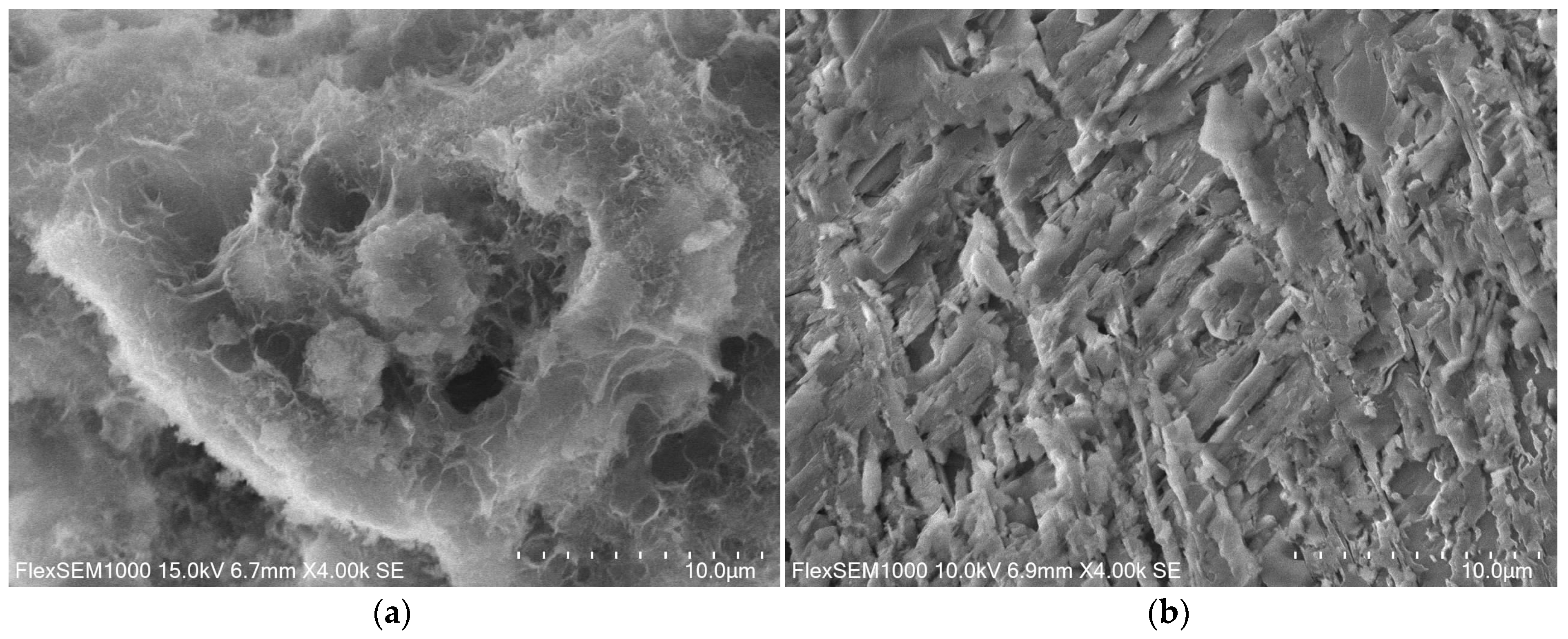 Materials 14 03101 g012