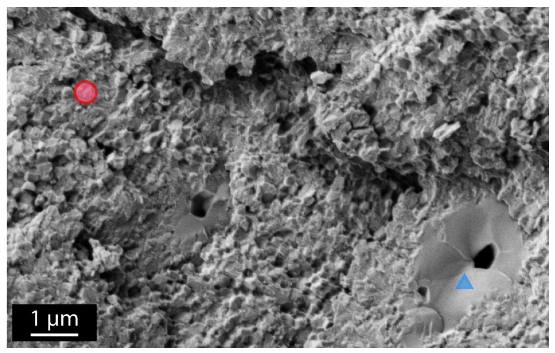 Materials 14 03103 g001