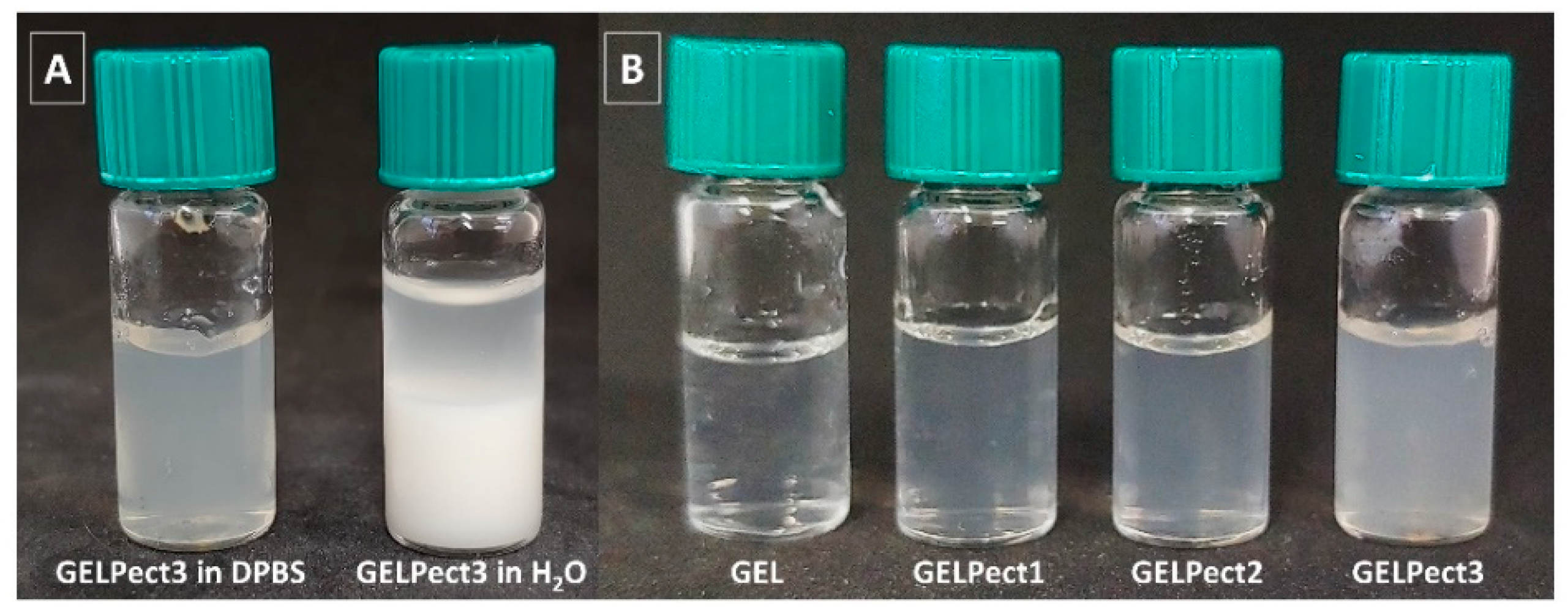 Materials 14 03109 g001 Materials 14 03109 g001