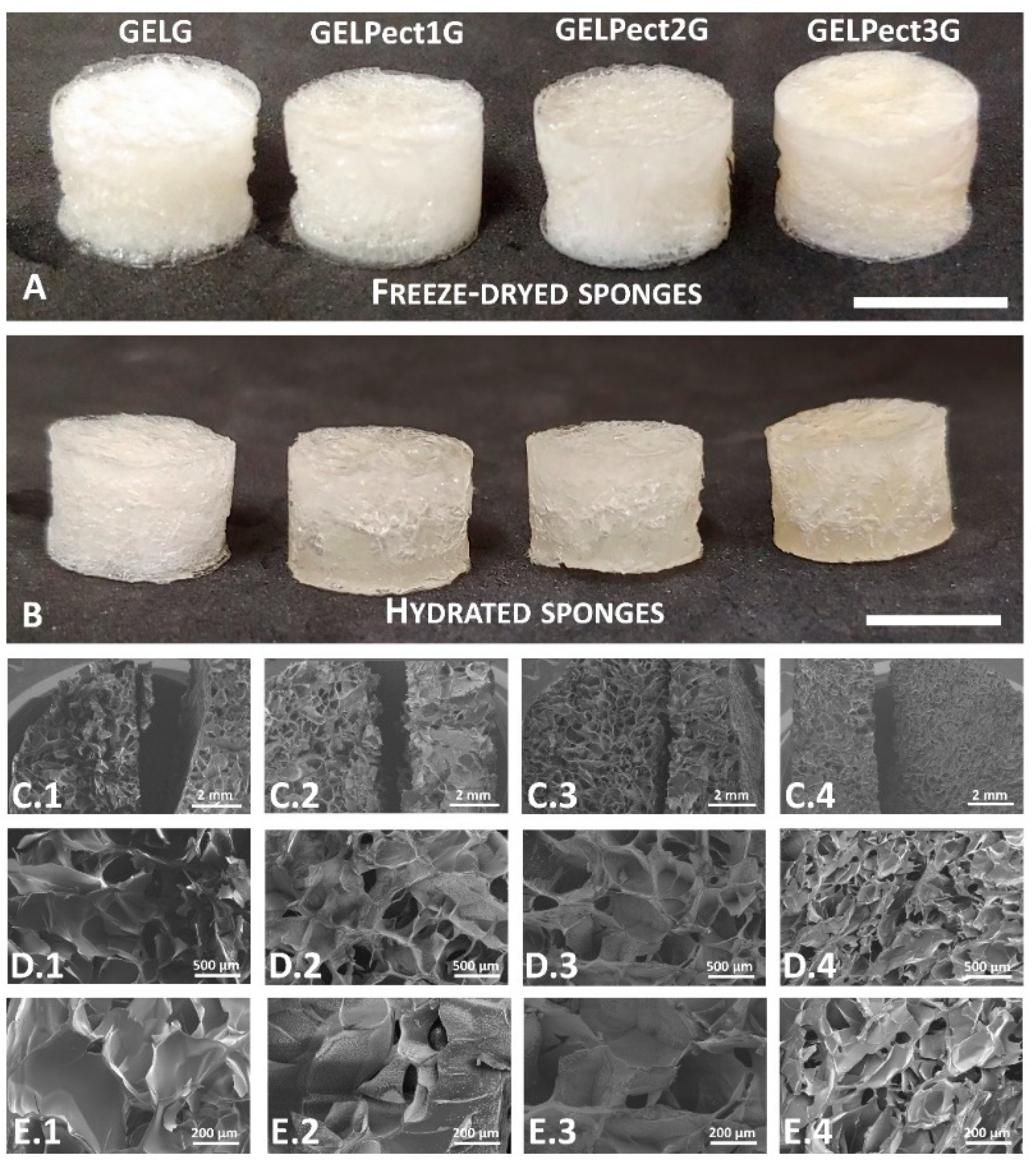 Materials 14 03109 g002 Materials 14 03109 g002