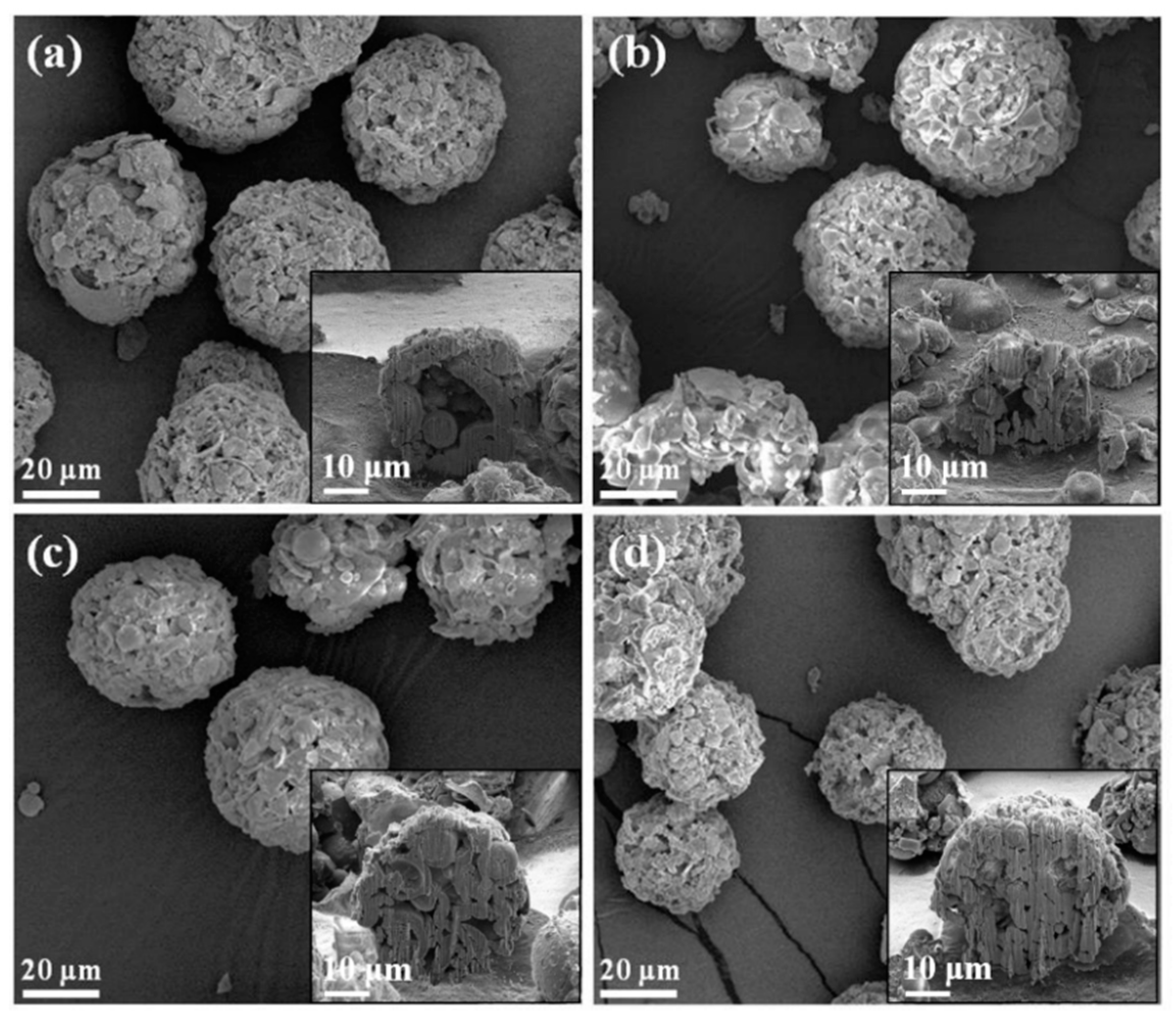 Materials 14 03112 g001