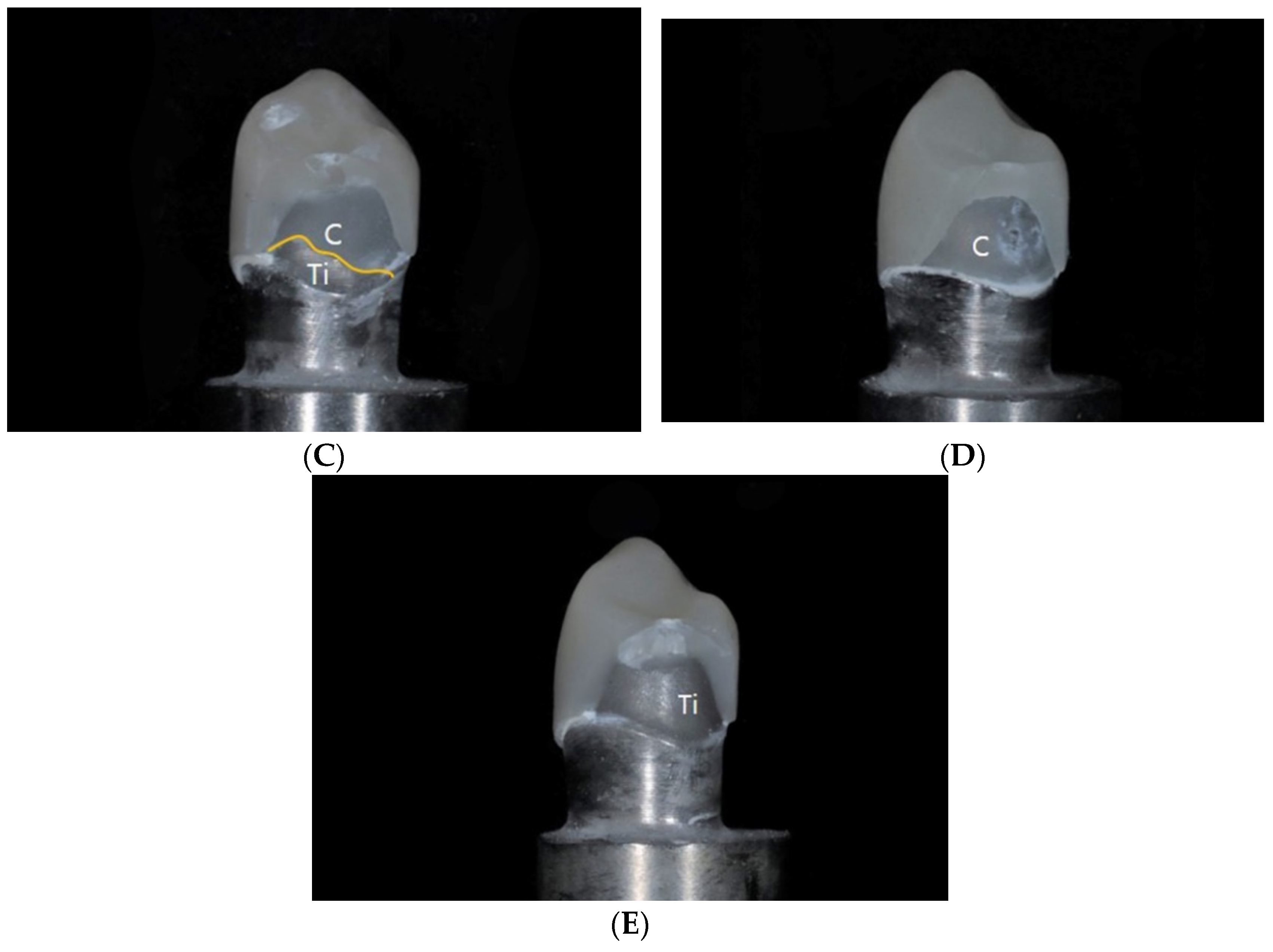 Materials 14 03115 g005b Materials 14 03115 g005b