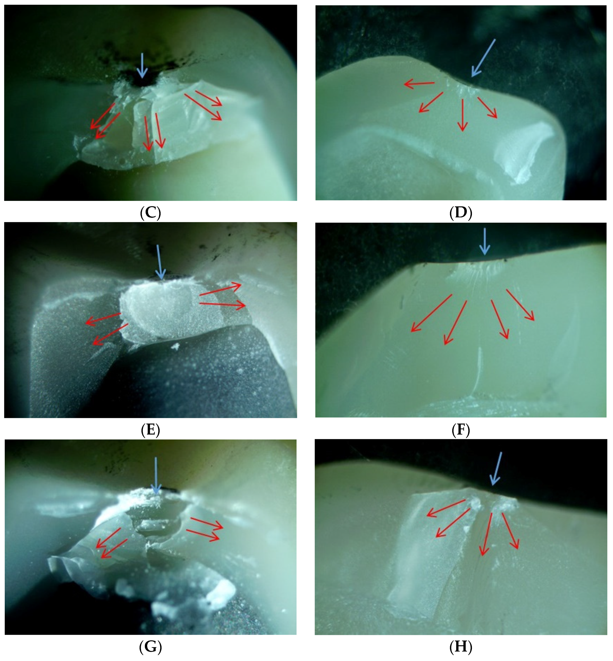 Materials 14 03115 g006b Materials 14 03115 g006b