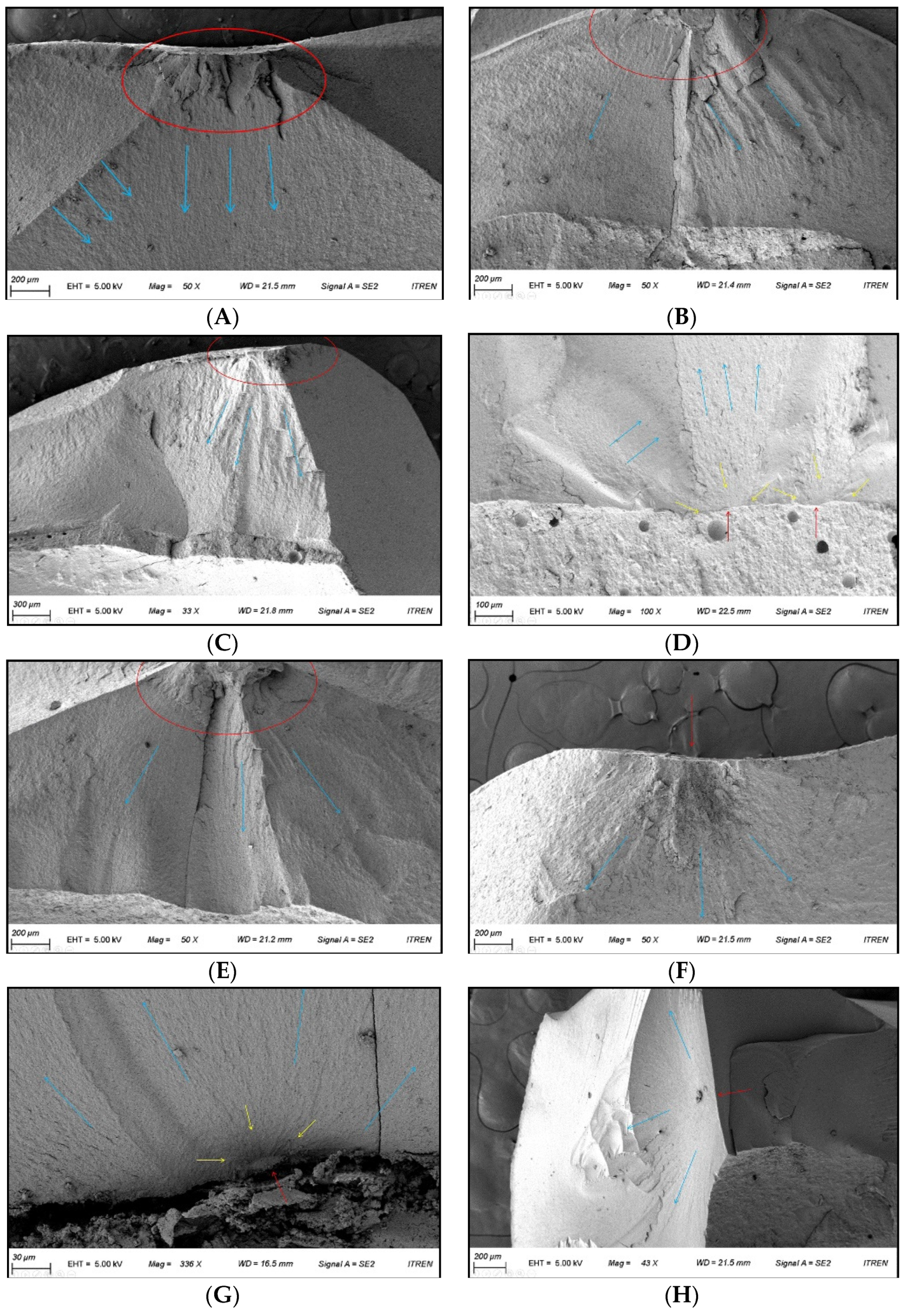 Materials 14 03115 g007 Materials 14 03115 g007