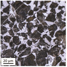 Materials 14 03116 i023