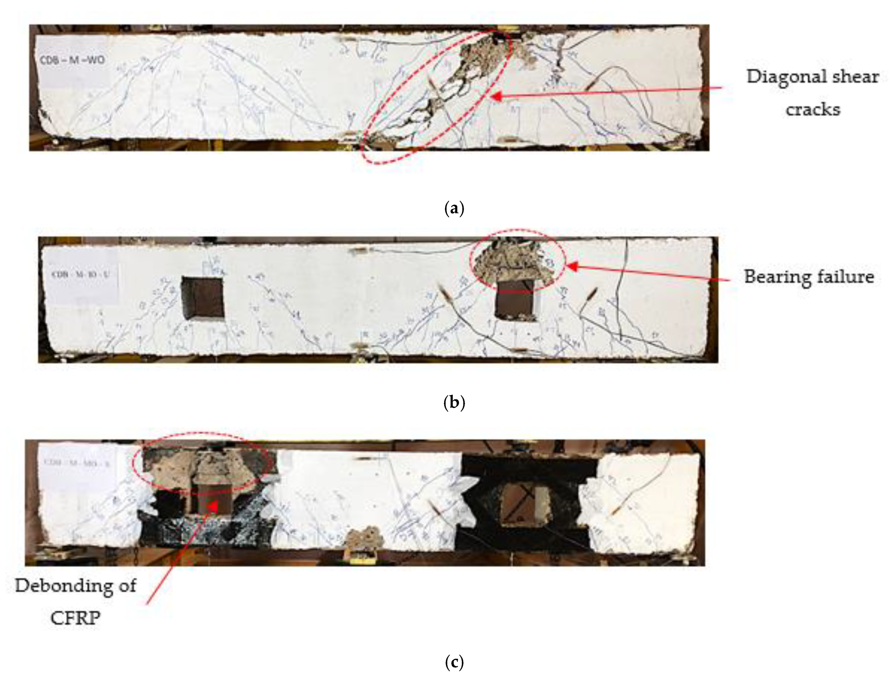 Materials 14 03119 g006