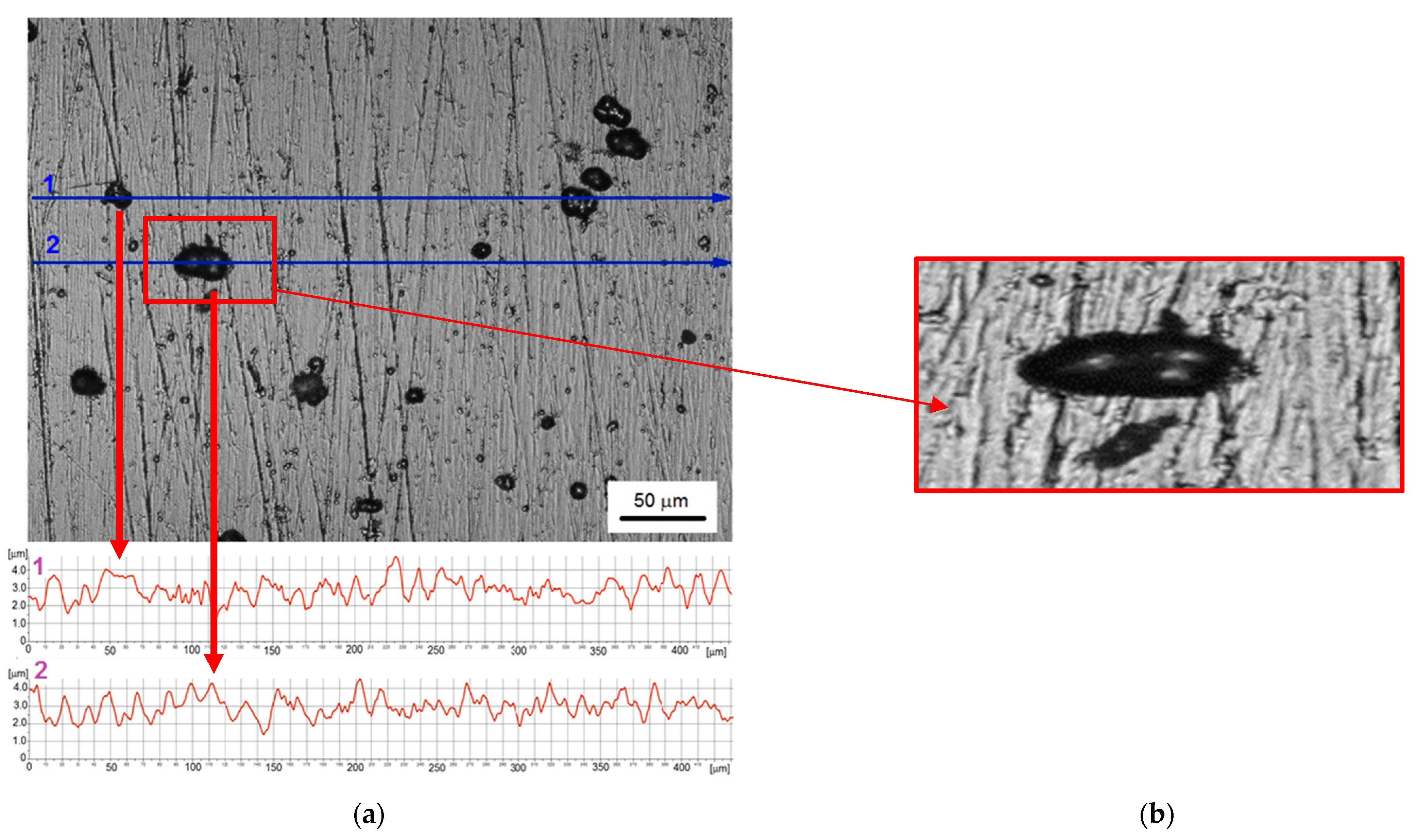 Materials 14 03123 g002