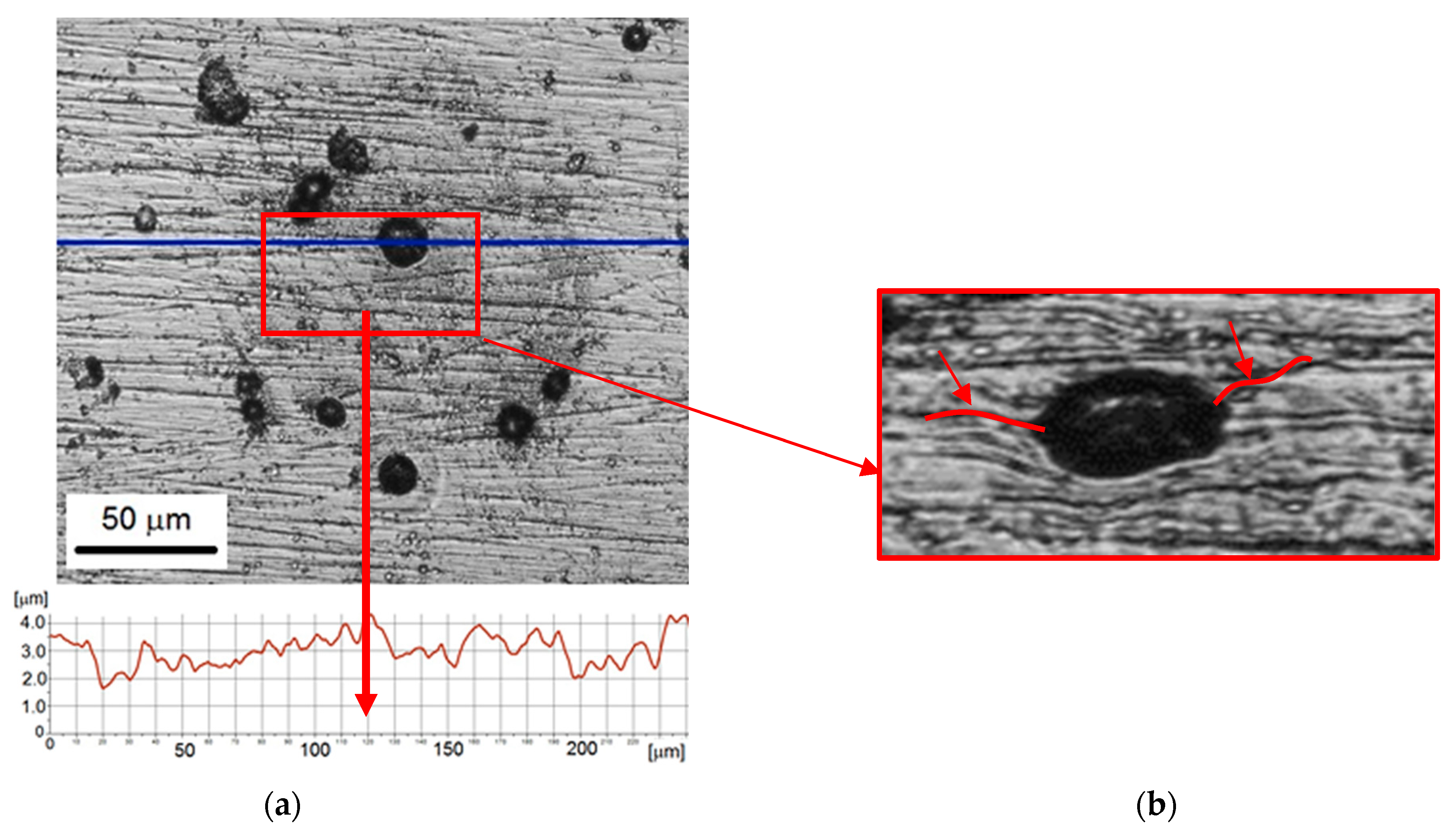 Materials 14 03123 g006