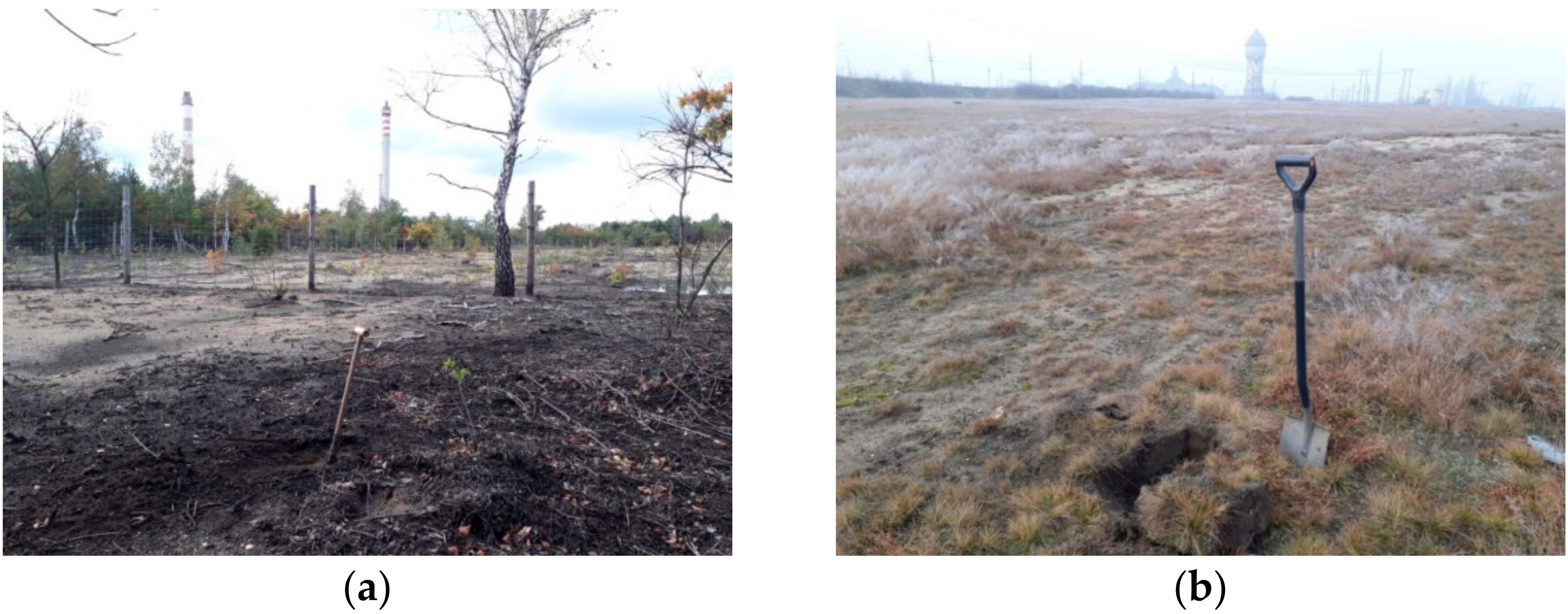 Materials 14 03132 g001 Materials 14 03132 g001