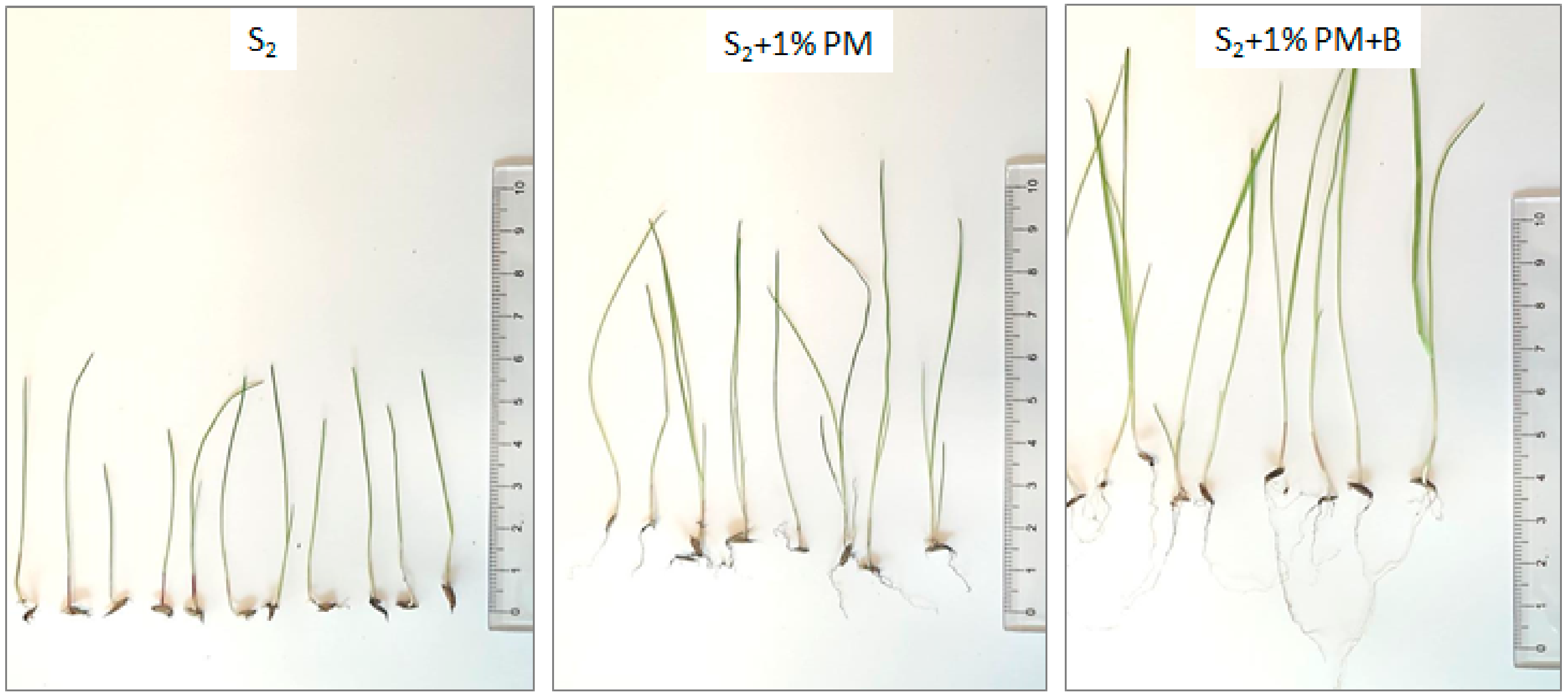 Materials 14 03132 g006 Materials 14 03132 g006