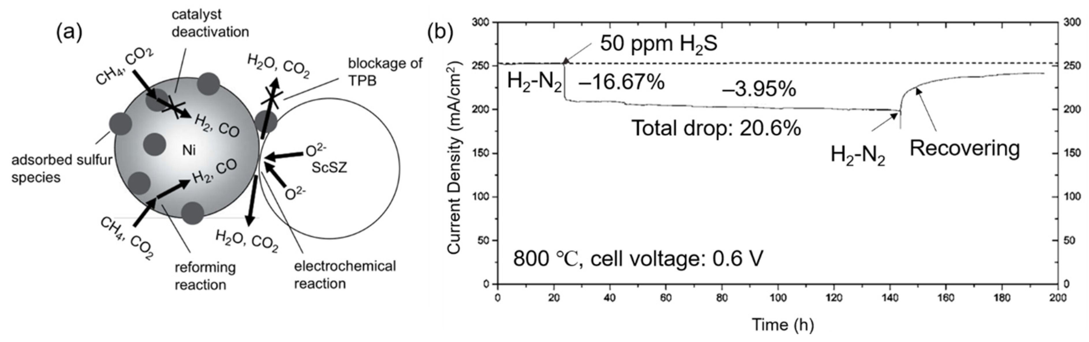 Materials 14 03139 g010 Materials 14 03139 g010